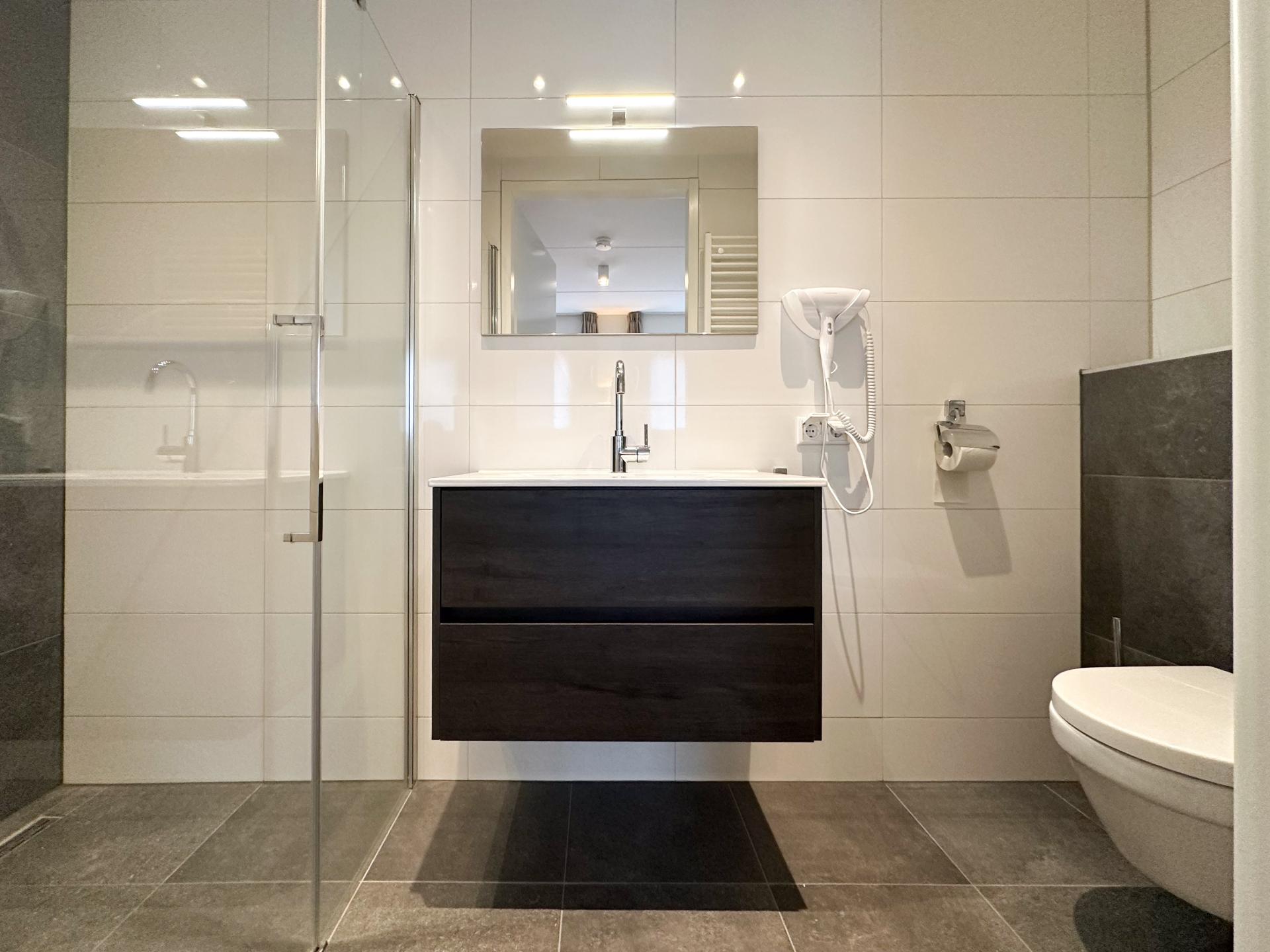 Luxe villa met sauna en spabad, 500m van het strand in Colijnsplaat - foto 10