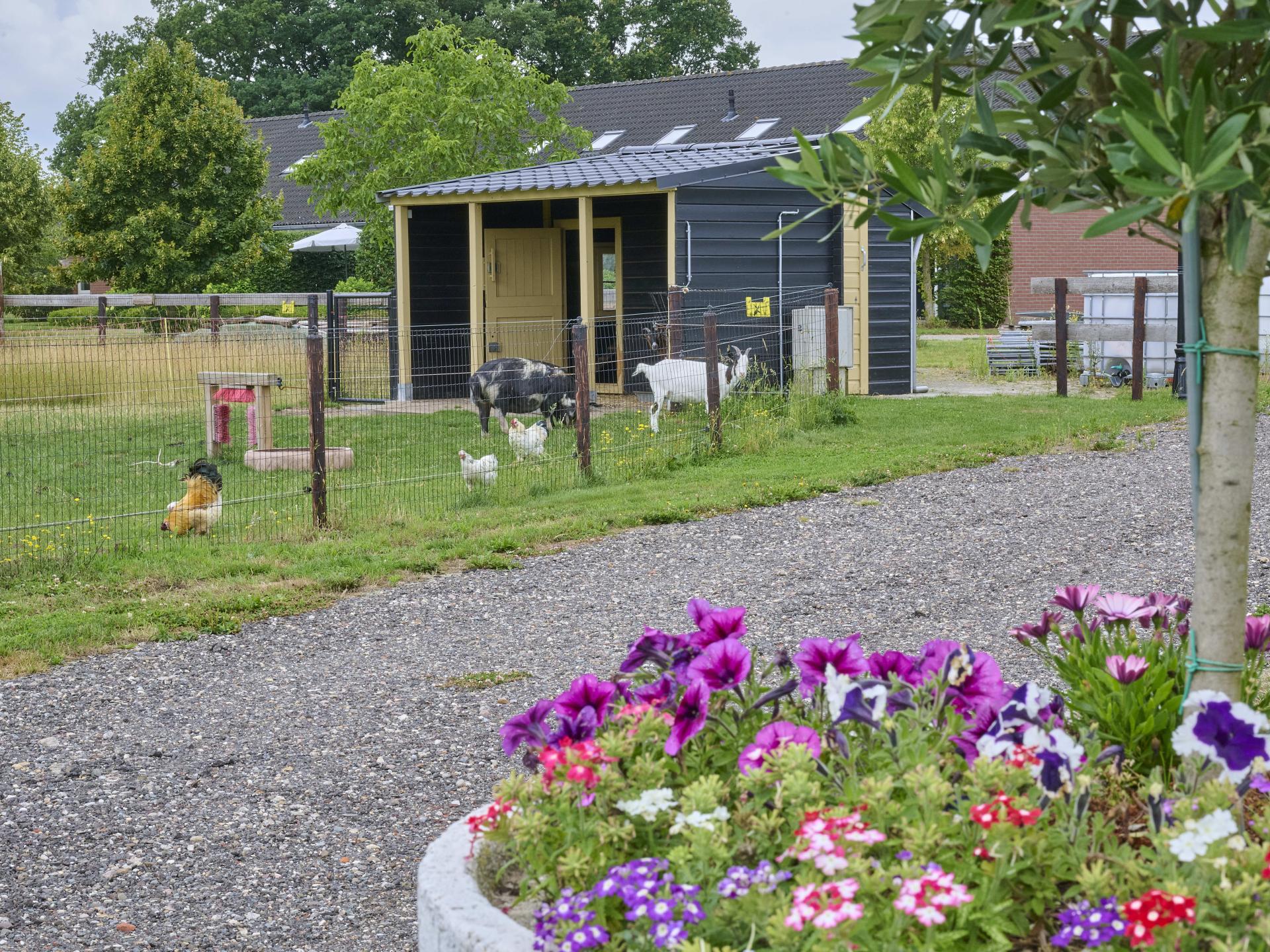 Landelijke vakantiewoning De Eik in Twente met weids uitzicht - foto 40