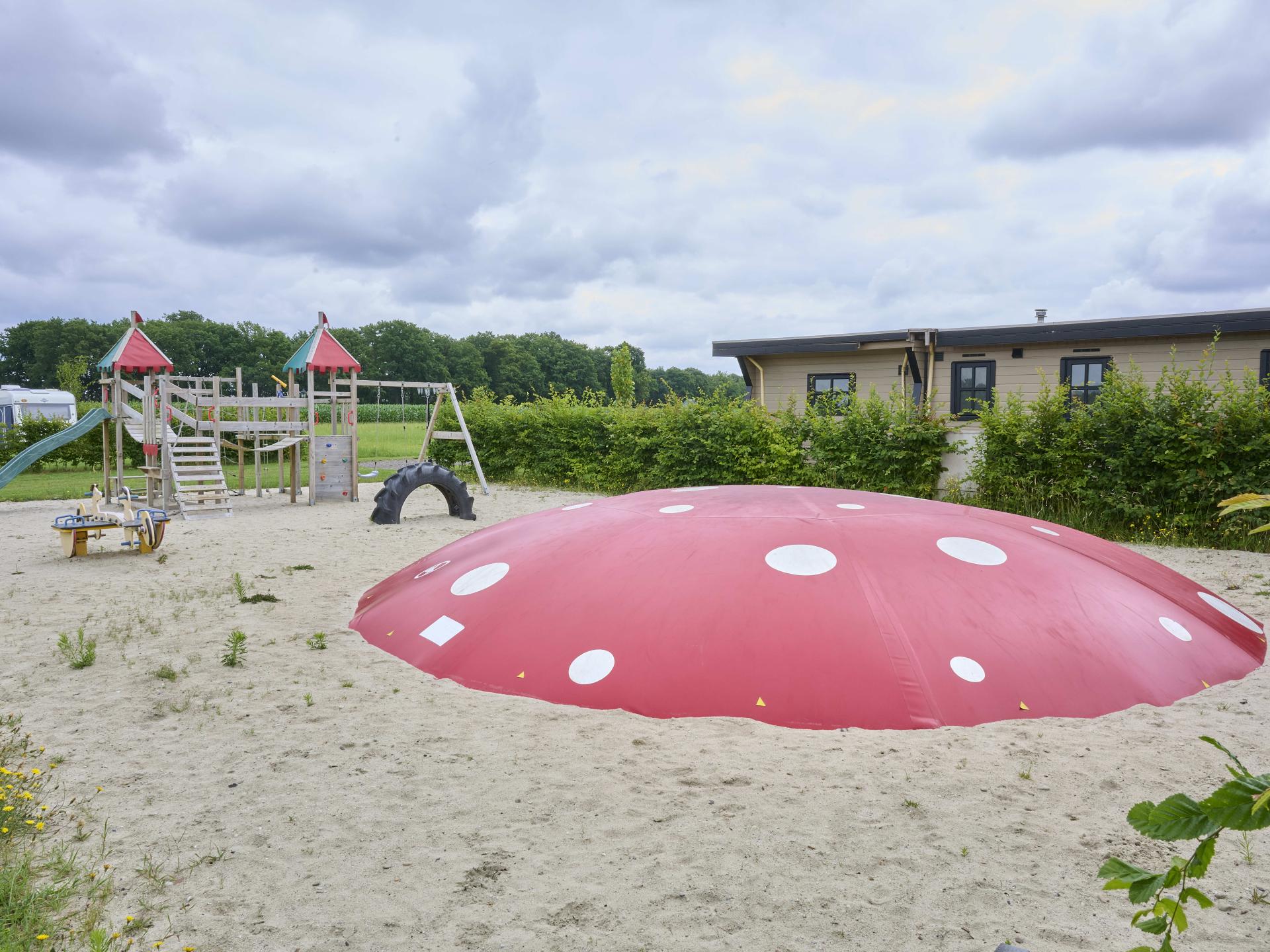 Landelijke vakantiewoning De Eik in Twente met weids uitzicht - foto 39