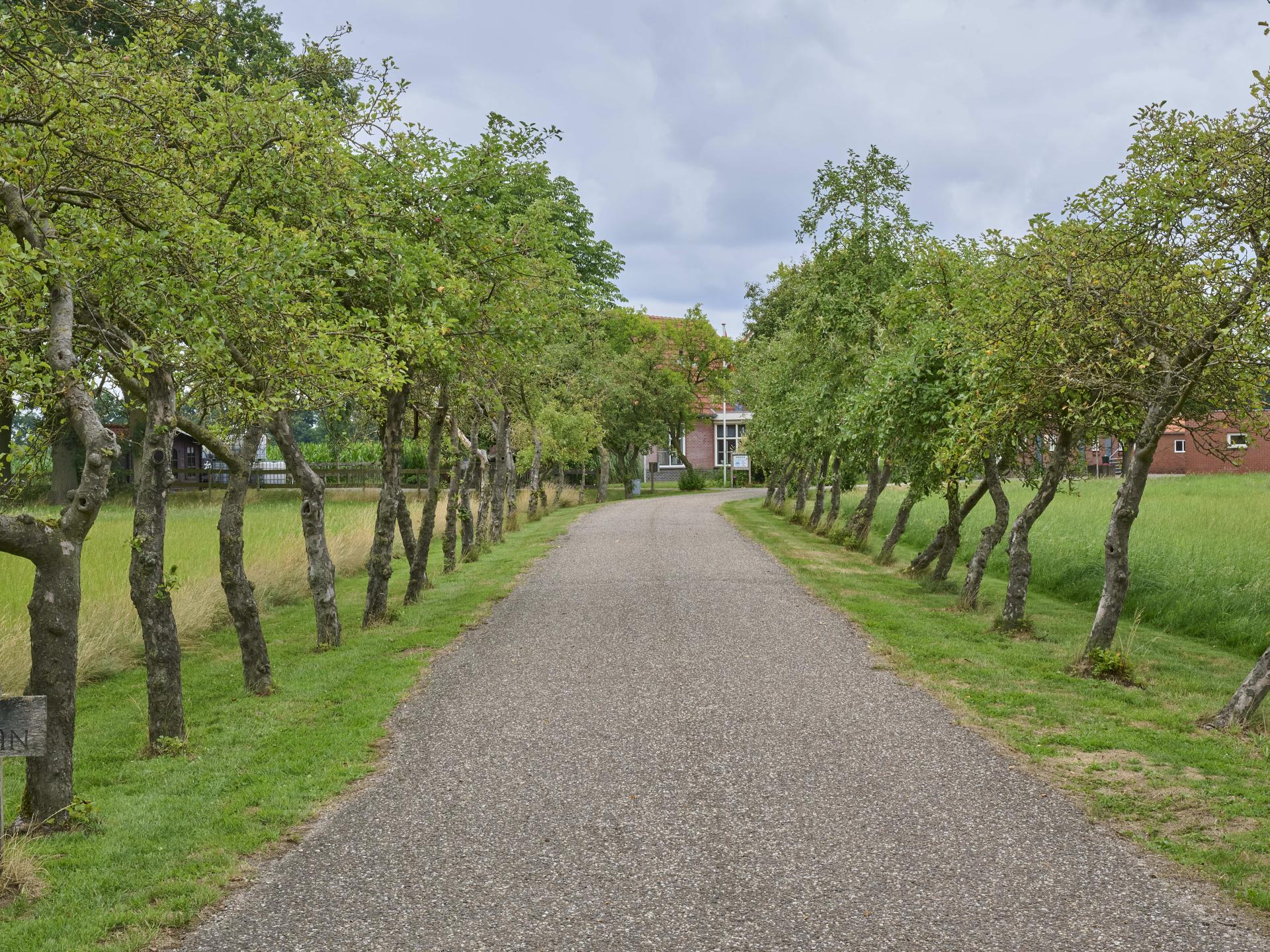 Landelijke vakantiewoning De Eik in Twente met weids uitzicht - foto 43