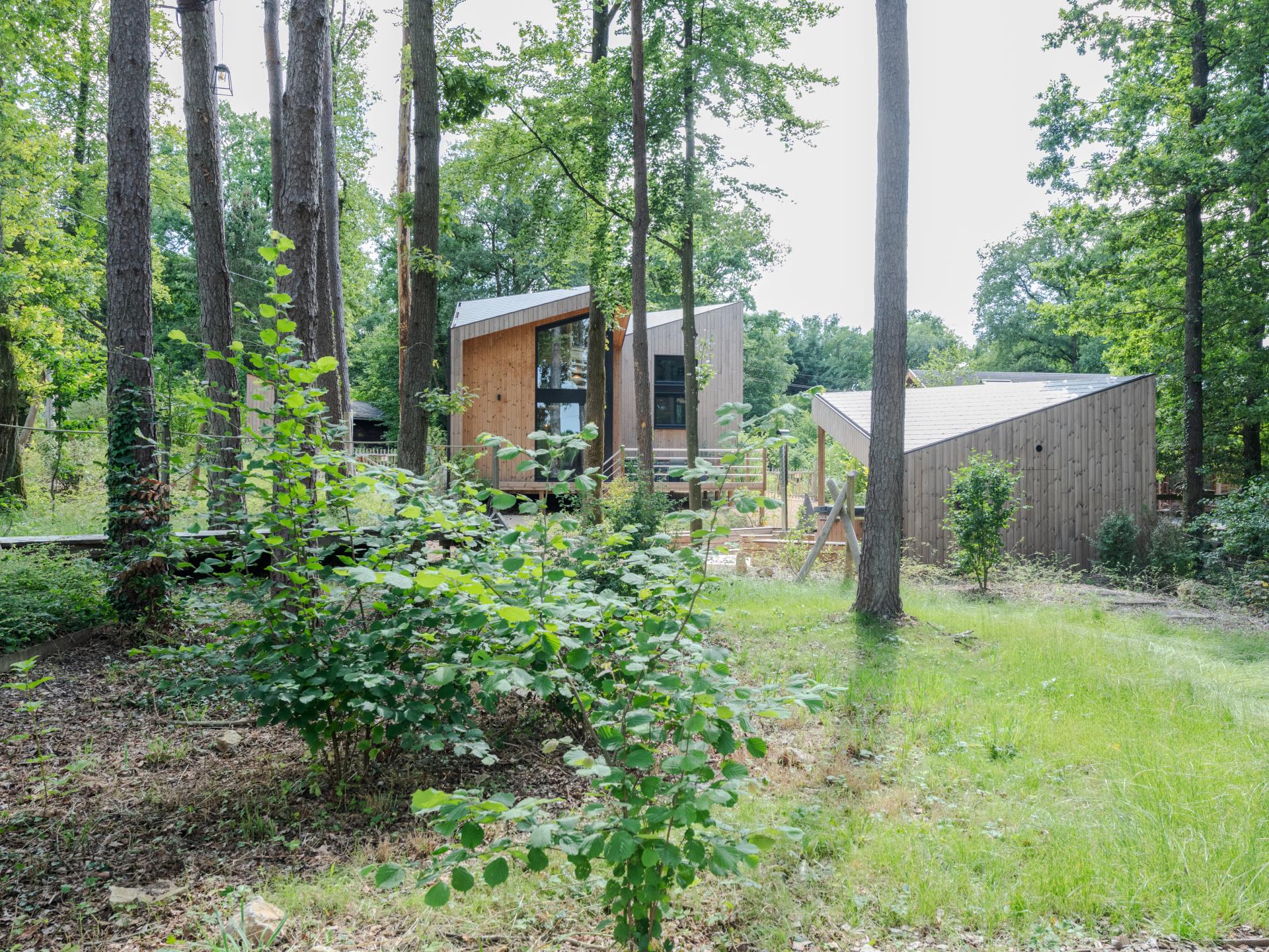 Uniek design vakantiehuis met wellness in rustige Ardense bossen bij Biron - foto 4