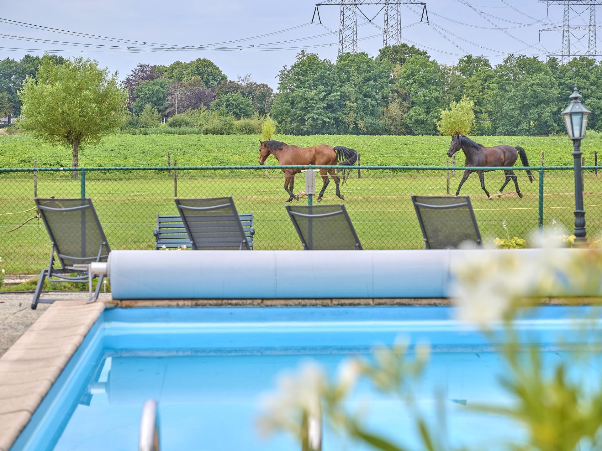Landelijk vakantiehuis met verwarmd zwembad bij Oisterwijk - foto 35