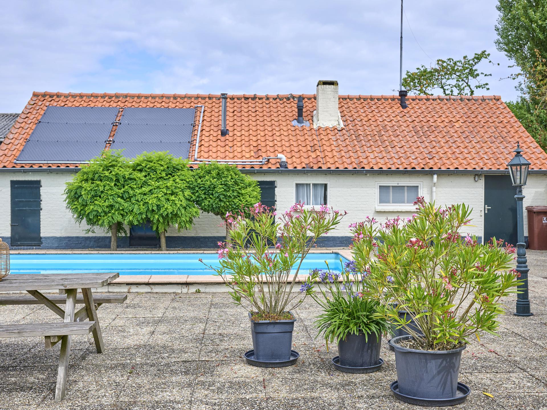 Landelijk vakantiehuis met verwarmd zwembad bij Oisterwijk - foto 38