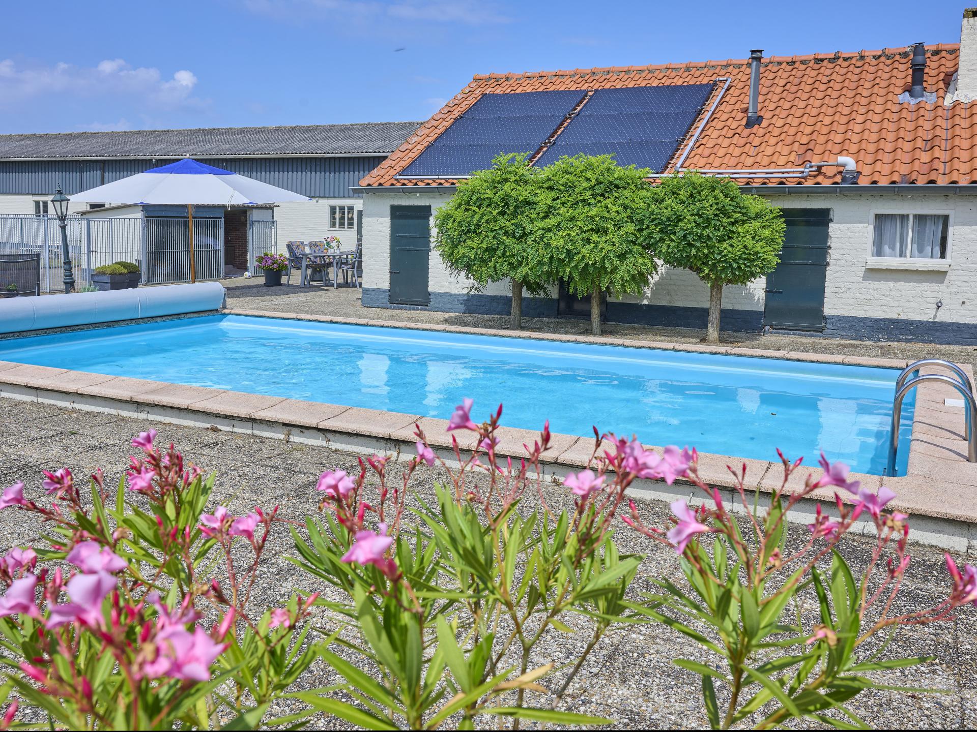 Landelijk vakantiehuis met verwarmd zwembad bij Oisterwijk - foto 47