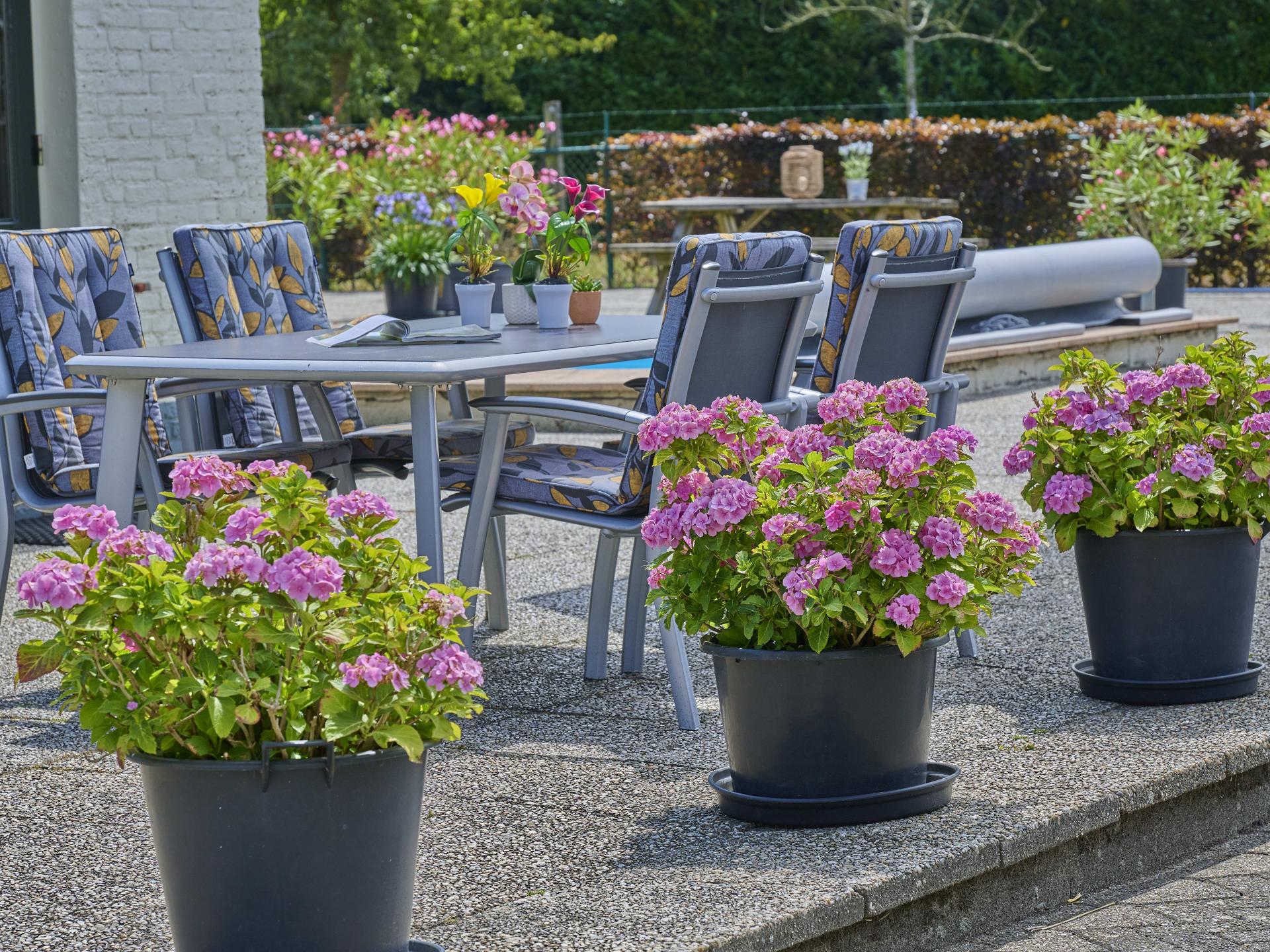 Landelijk vakantiehuis met verwarmd zwembad bij Oisterwijk - foto 11