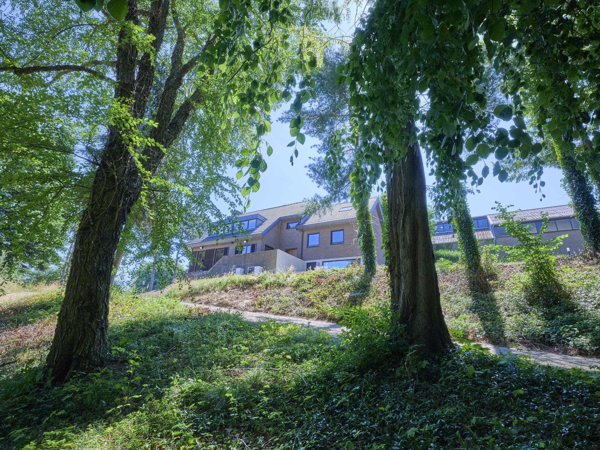 Luxe groepsvilla met privé wellness en grote tuin in hartje Limburg - foto 46