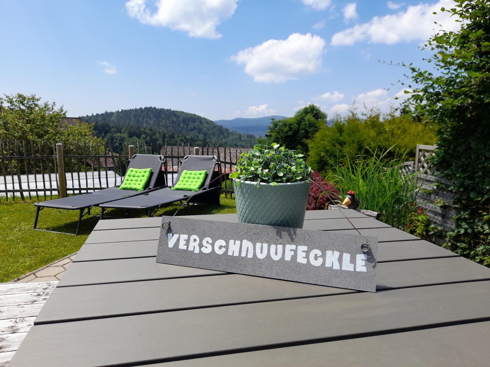 Licht penthouse met balkon, eigen tuin & BBQ aan de skipiste in Herrischried - foto 3