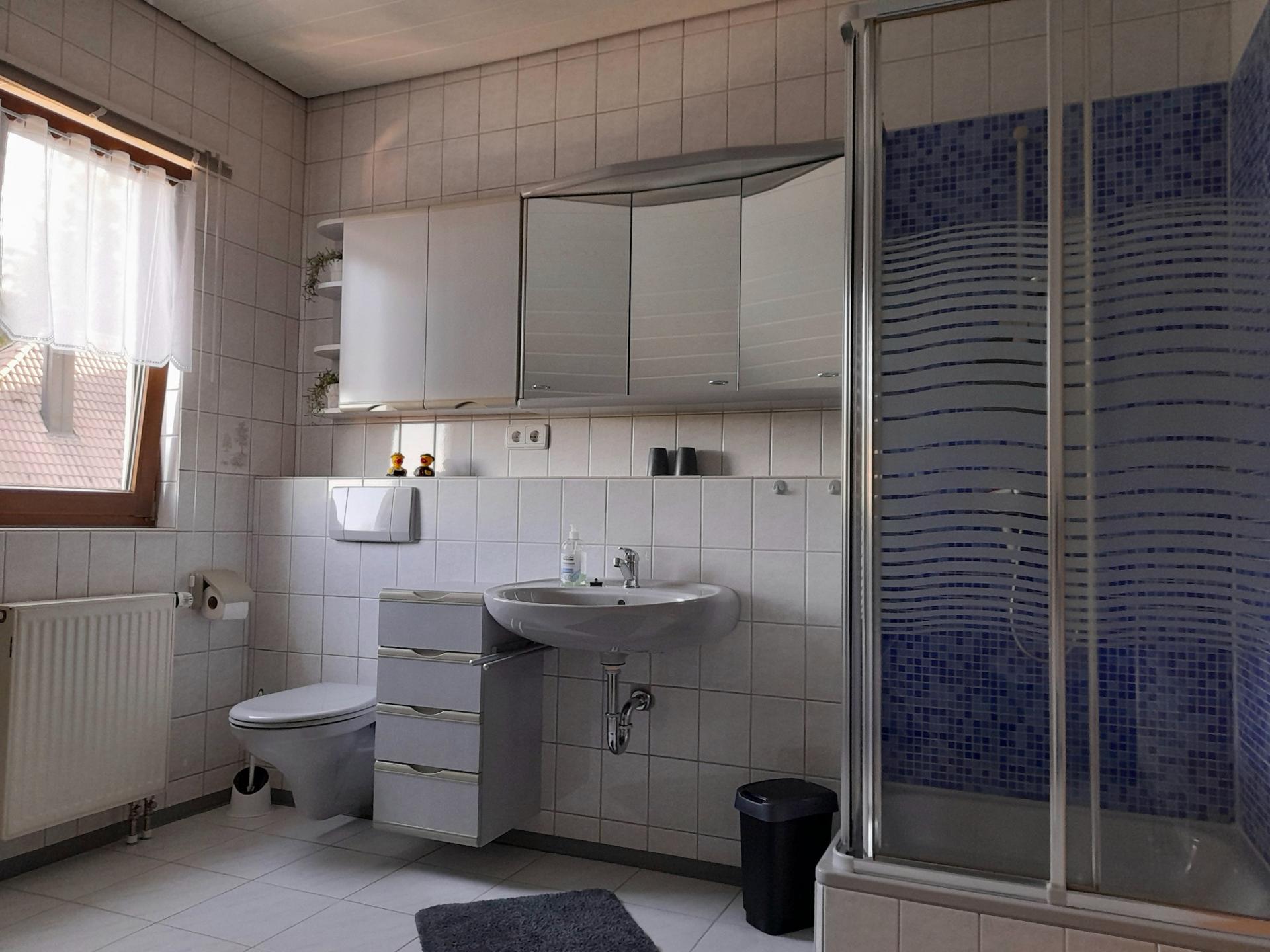 Licht penthouse met balkon, eigen tuin & BBQ aan de skipiste in Herrischried - foto 17