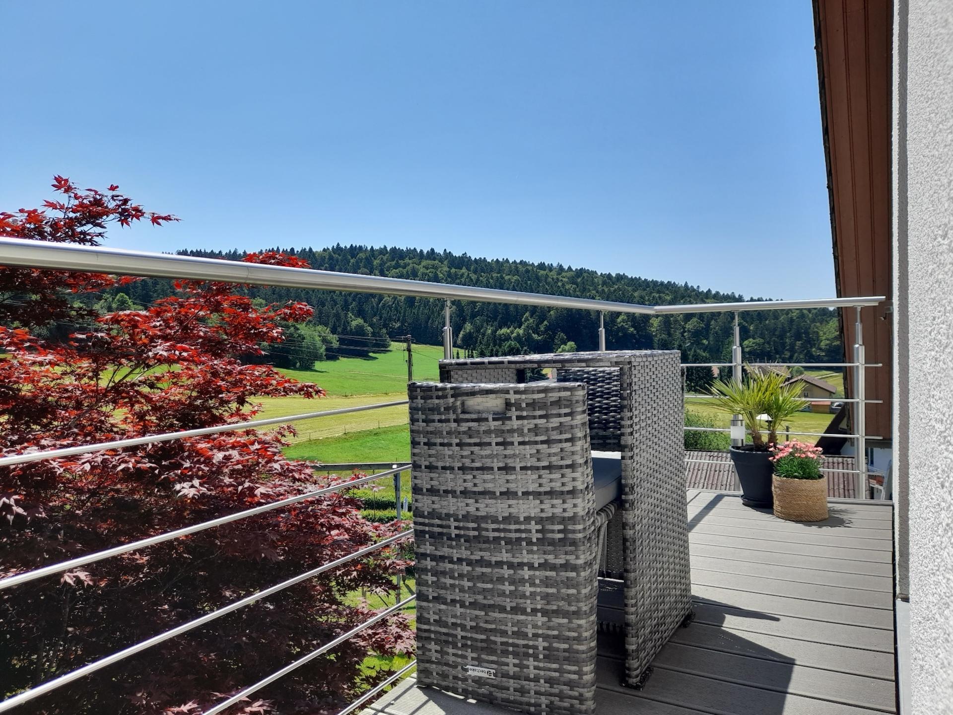 Licht penthouse met balkon, eigen tuin & BBQ aan de skipiste in Herrischried - foto 19