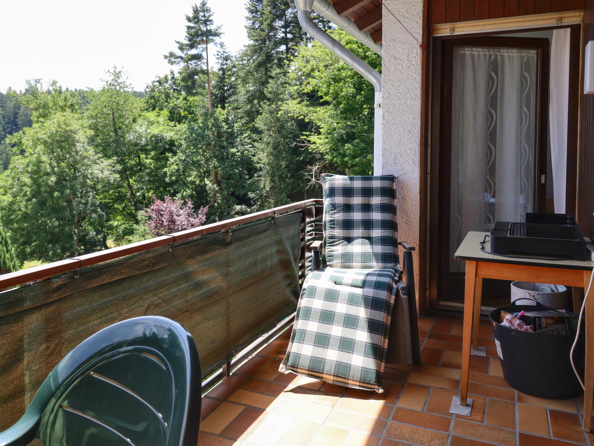 Ruim appartement in Waldachtal met houtkachel en balkon, vlakbij het bos - foto 6