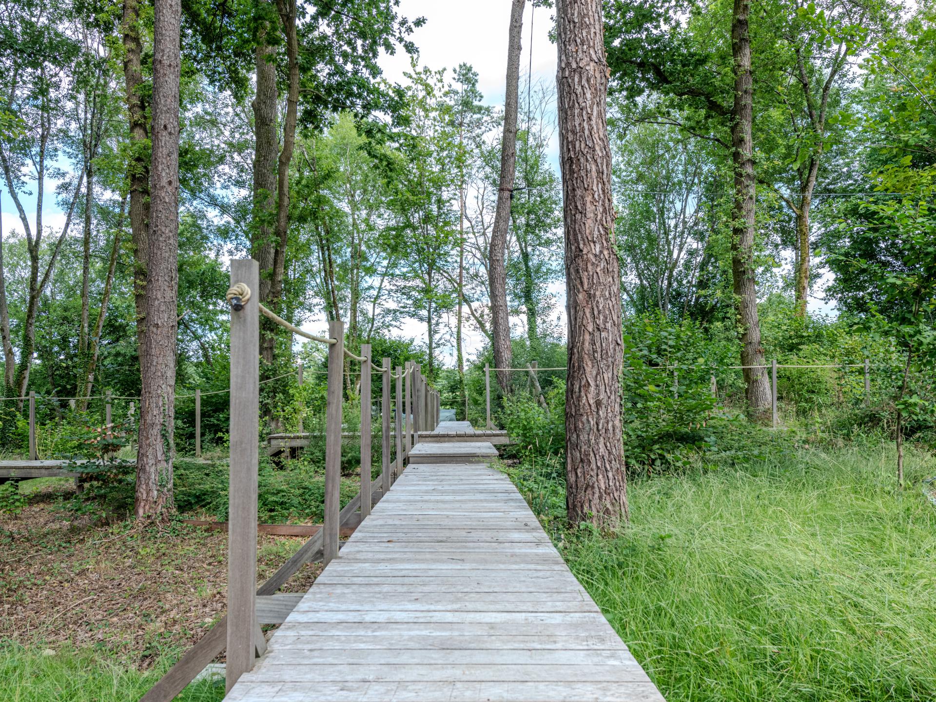 Designwoning met wellness in de bossen bij Biron, 8 personen - foto 52
