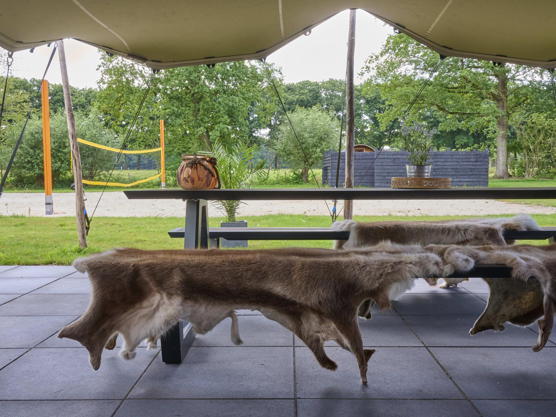 Landelijk genieten met privé sauna in rustig Twente - foto 12