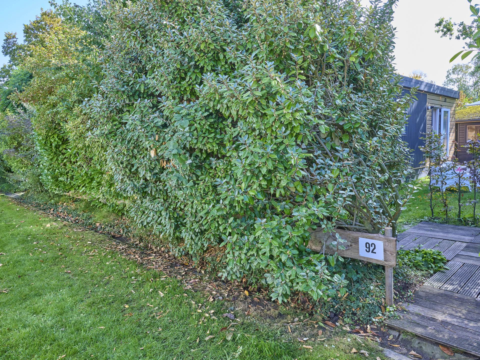 Sfeervol chalet op rustig park in pittoresk Goedereede, strand op korte afstand - foto 25