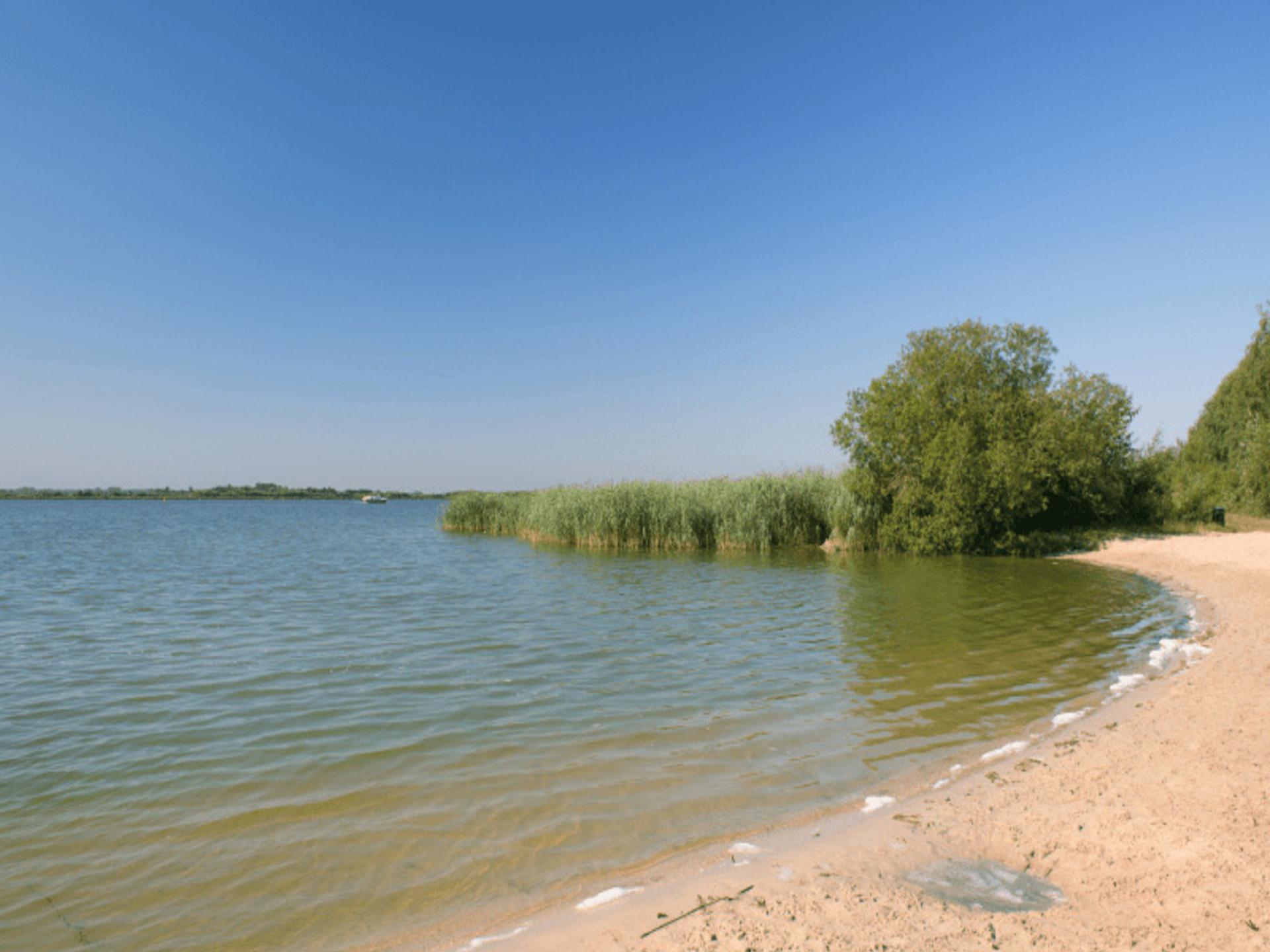 Luxe vakantiehuis De Linde op rustig bospark, 90m van centrum Nunspeet - foto 50
