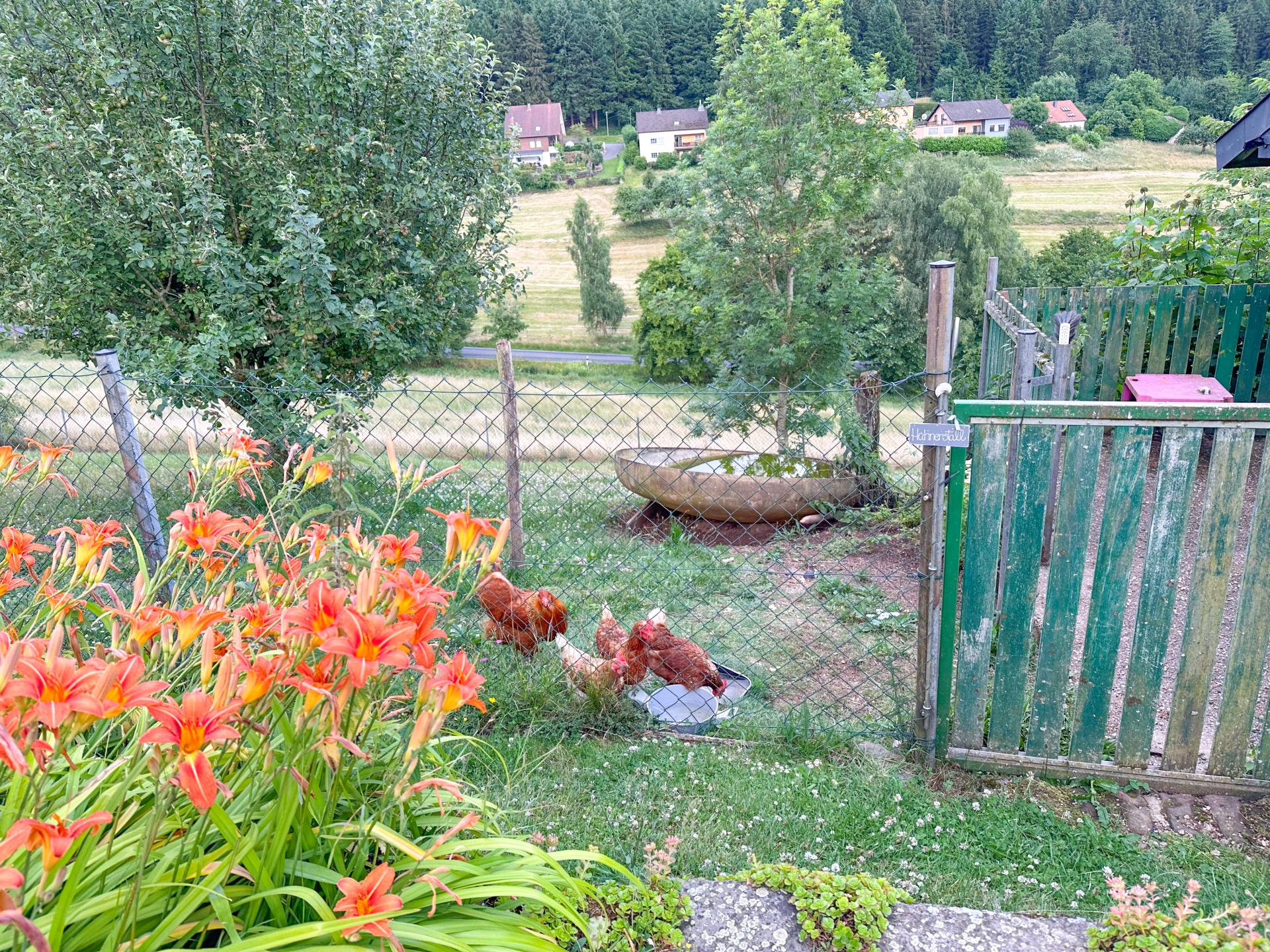 Rustgevend vakantiehuis in Nimshuscheid met uitzicht over de vallei - foto 19