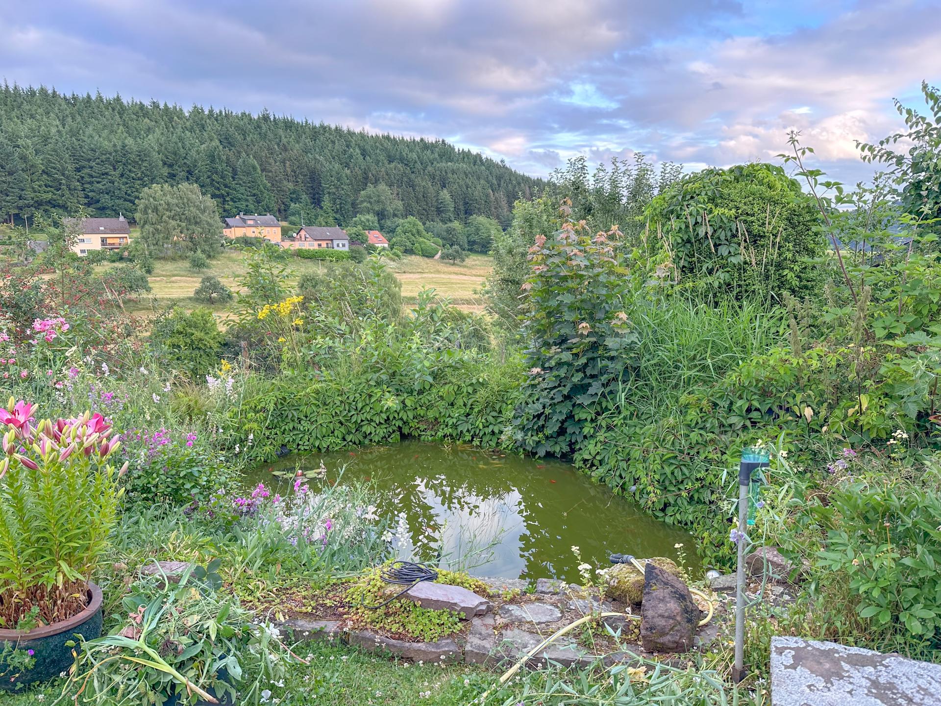 Rustgevend vakantiehuis in Nimshuscheid met uitzicht over de vallei - foto 20