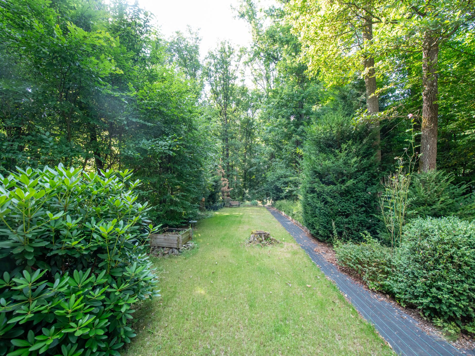 Vrijstaand chalet voor 4 in de natuur van Biron, Ardennen - foto 7