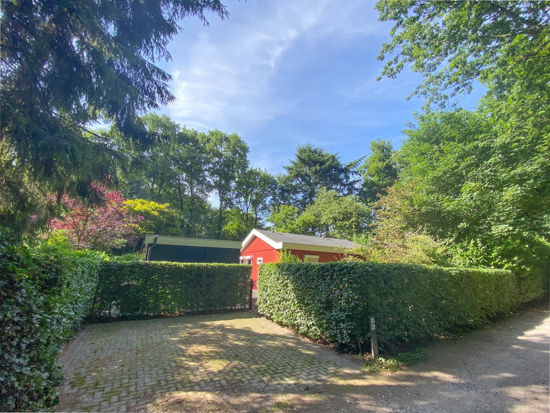 Vrijstaand huis met tuin tussen de Brabantse bossen, honden welkom - foto 39