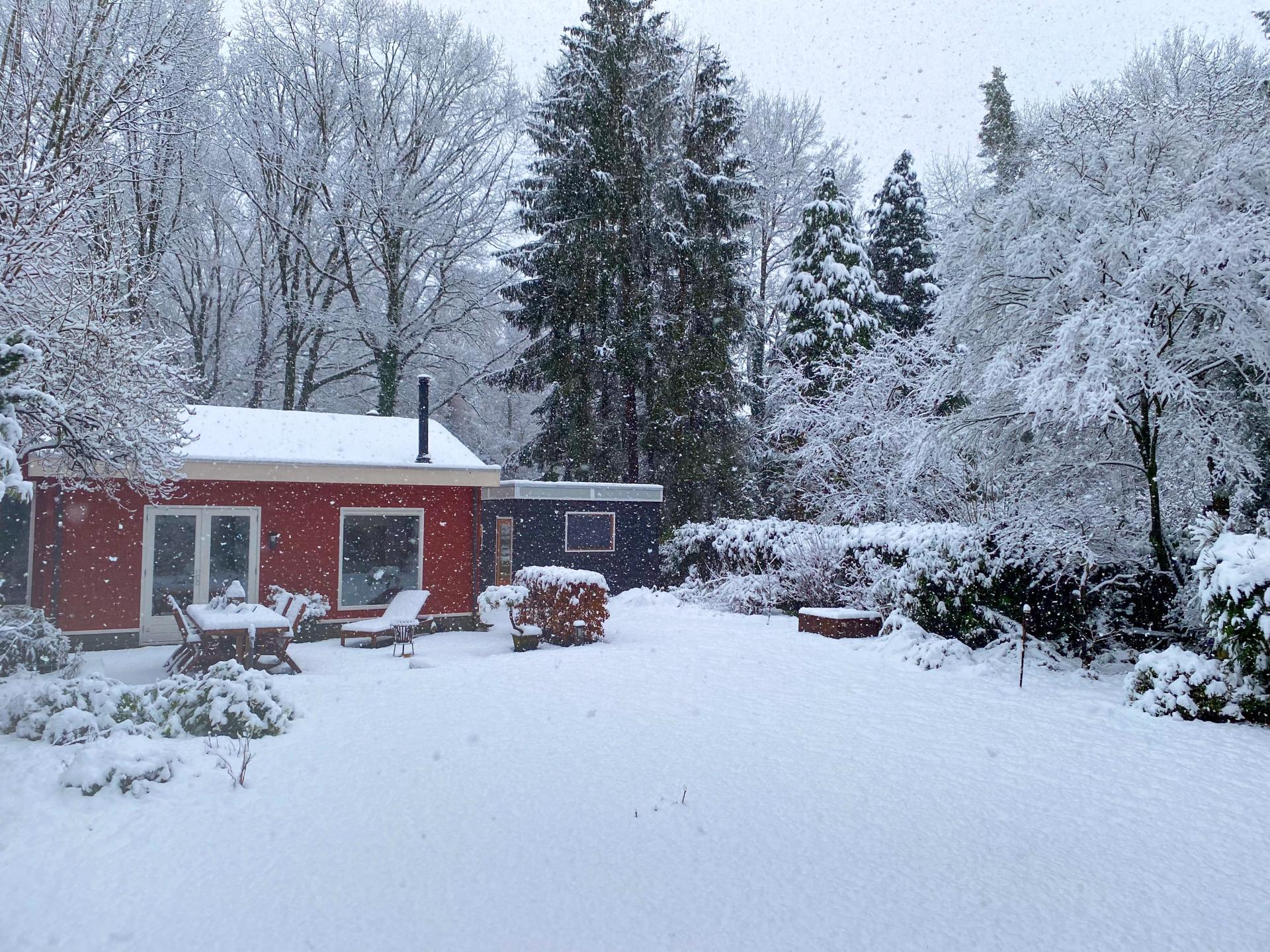 Vrijstaand huis met tuin tussen de Brabantse bossen, honden welkom - foto 40
