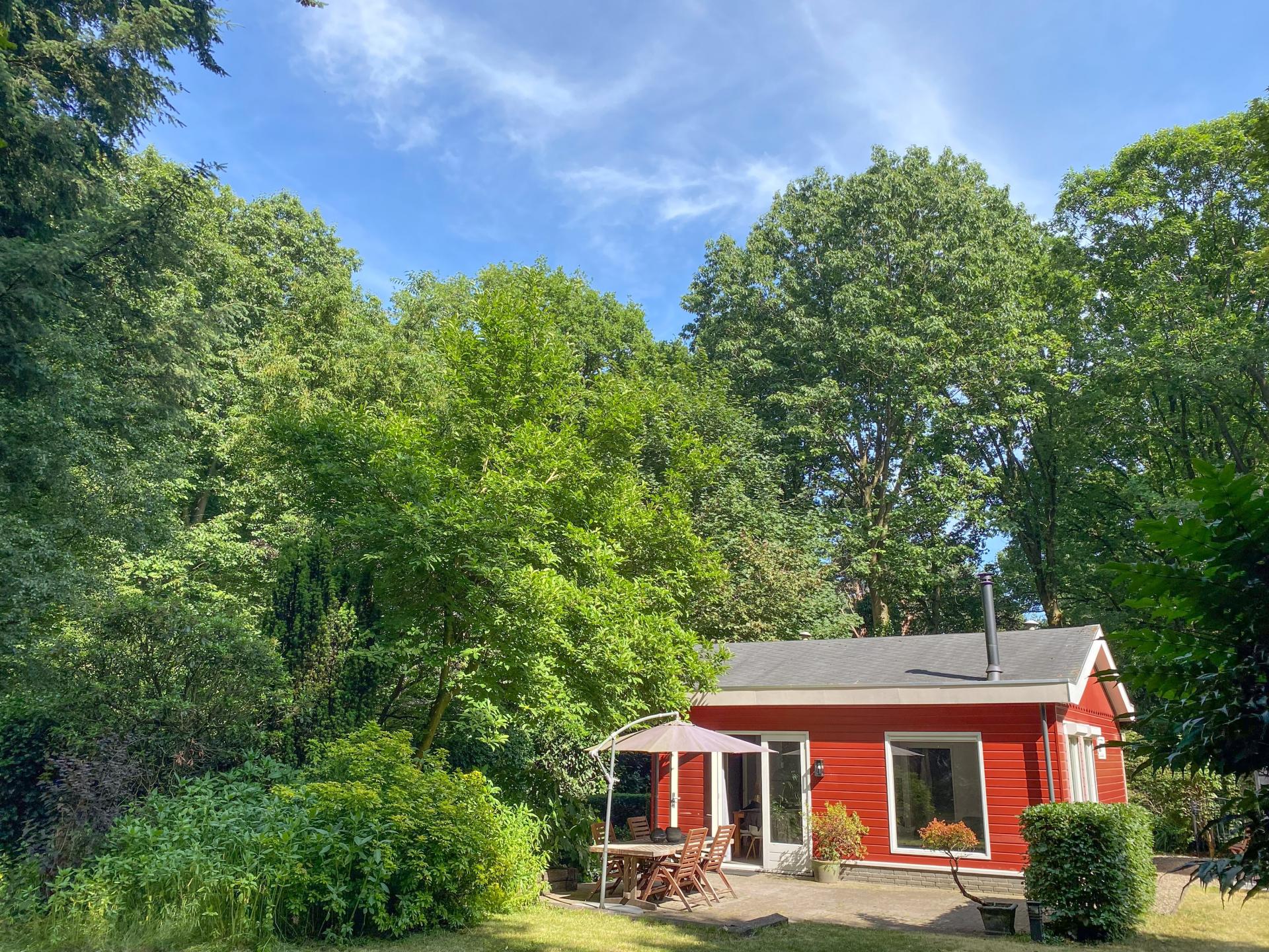 Vrijstaand huis met tuin tussen de Brabantse bossen, honden welkom - foto 3