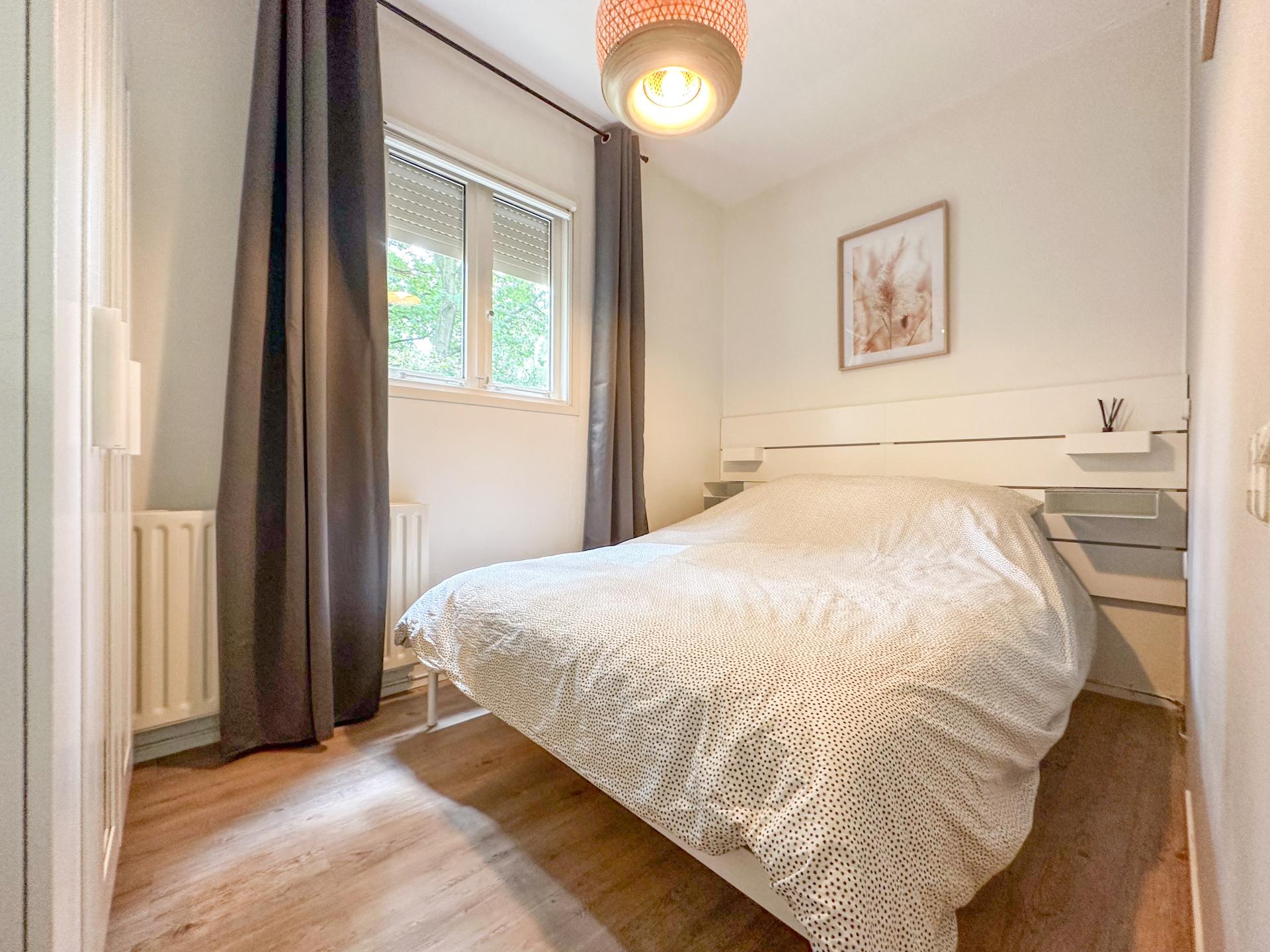 Vrijstaand huis met tuin tussen de Brabantse bossen, honden welkom - foto 20
