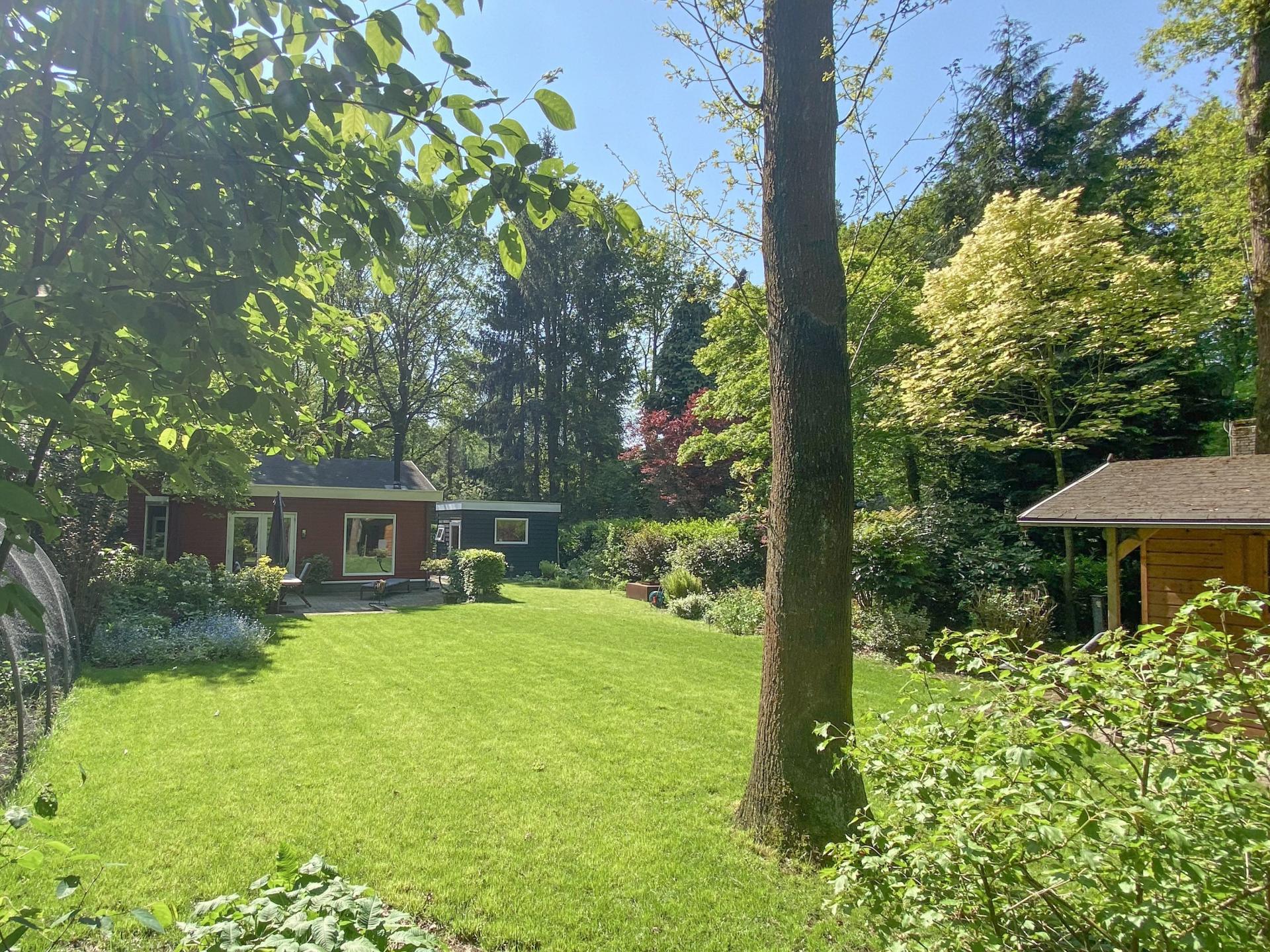 Vrijstaand huis met tuin tussen de Brabantse bossen, honden welkom - foto 36