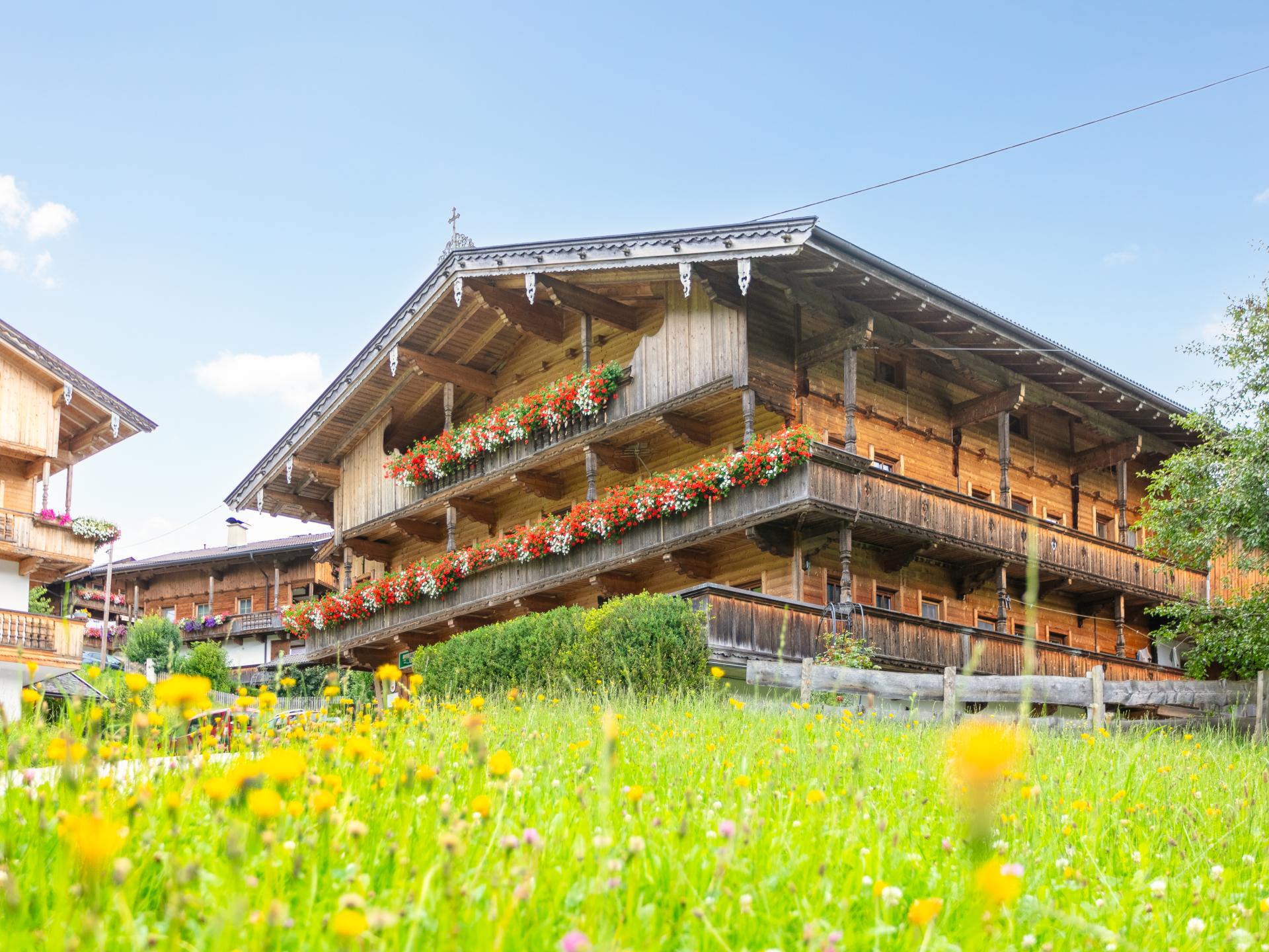 Ruim familieappartement op boerderij, direct aan de piste in Alpbach - foto 1