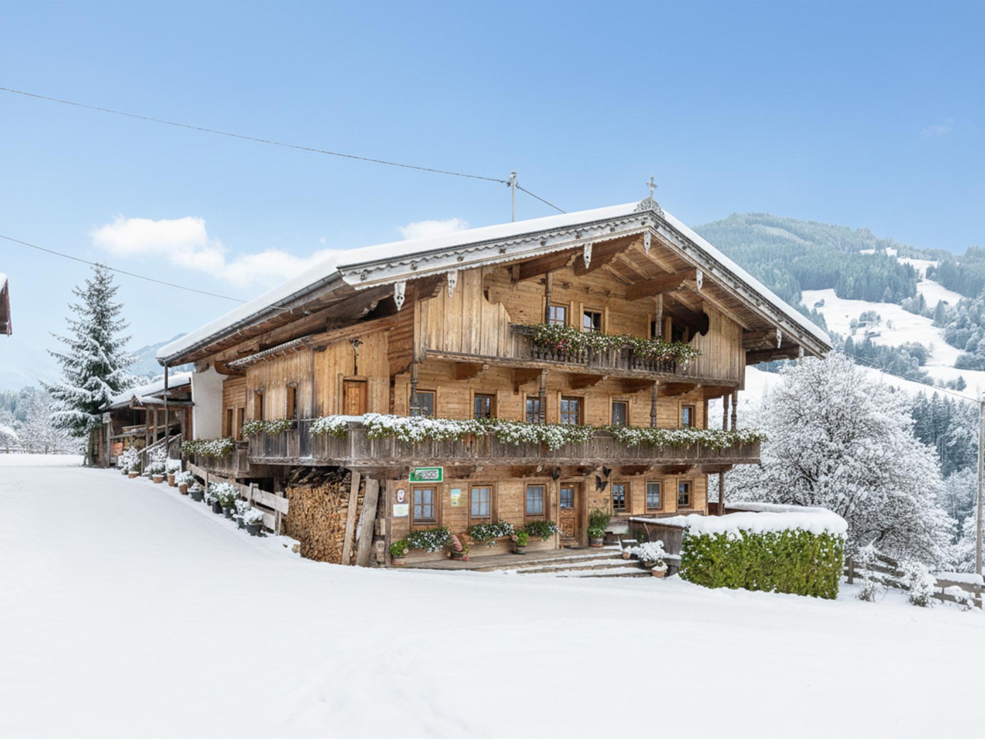 Ruim boerderijappartement in Alpbach, direct aan de piste - foto 28