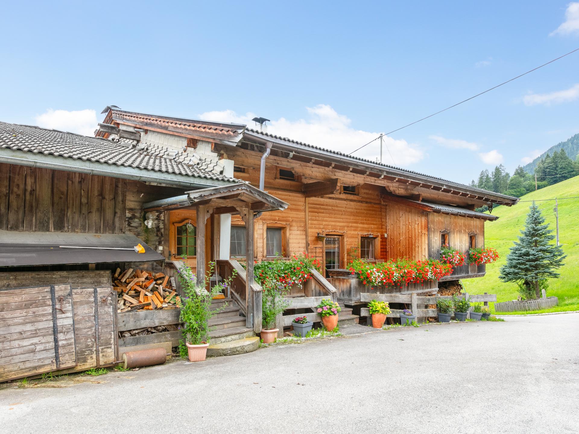 Ruim boerderijappartement in Alpbach, direct aan de piste - foto 20