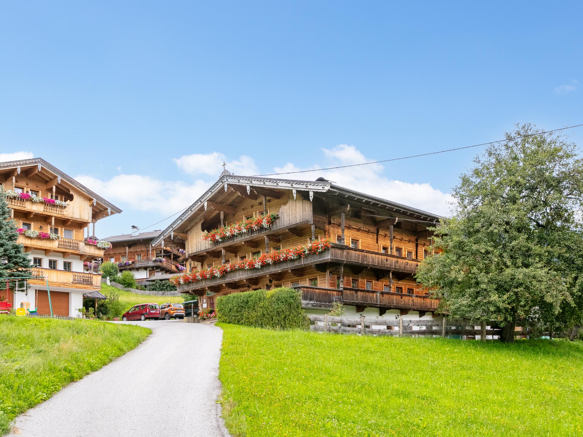 Ruim boerderijappartement in Alpbach, direct aan de piste - foto 24