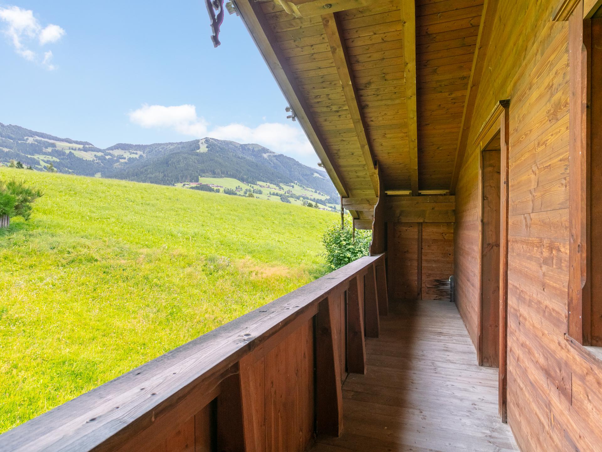 Gezinsvakantiehuis in Alpbach direct aan de piste met hond - foto 32