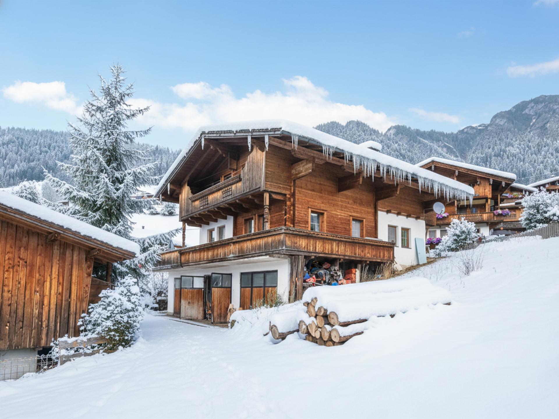 Gezinsvakantiehuis in Alpbach direct aan de piste met hond - foto 37