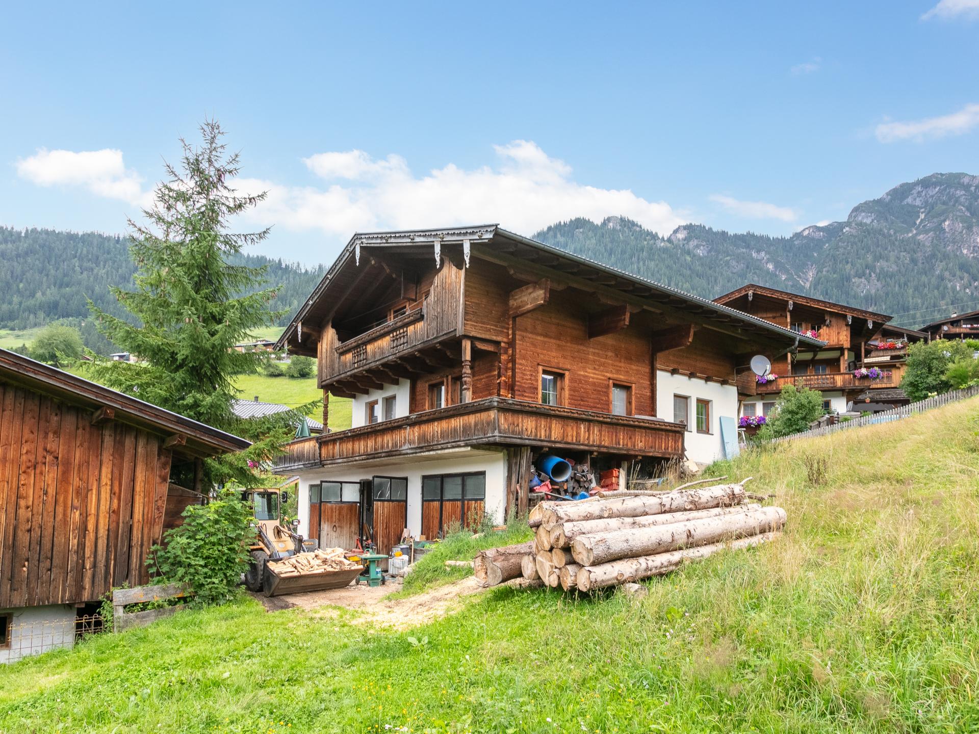 Gezinsvakantiehuis in Alpbach direct aan de piste met hond - foto 33