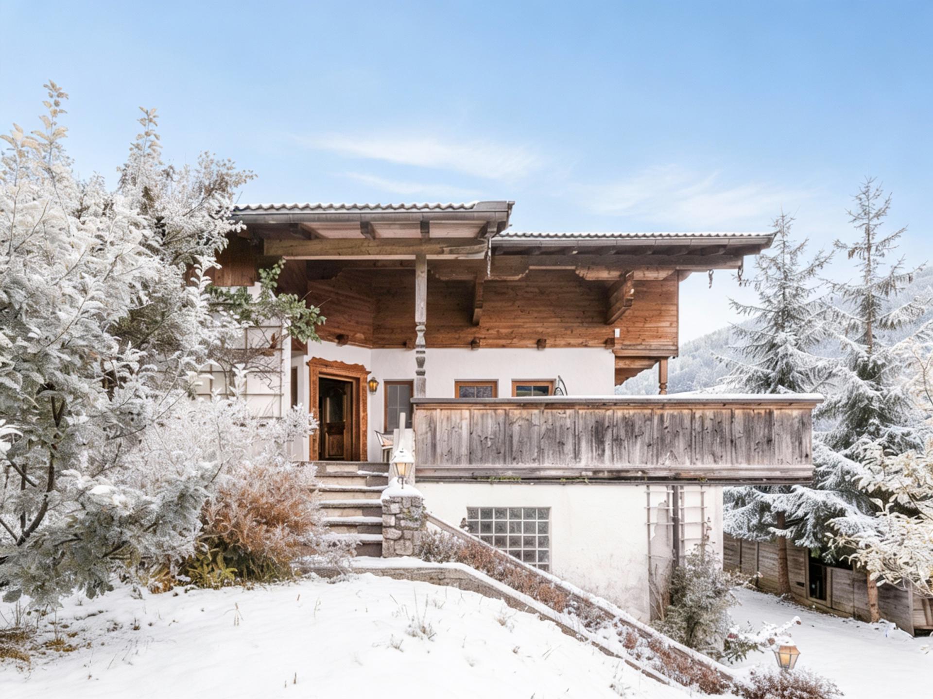 Gezinsvakantiehuis in Alpbach direct aan de piste met hond - foto 39