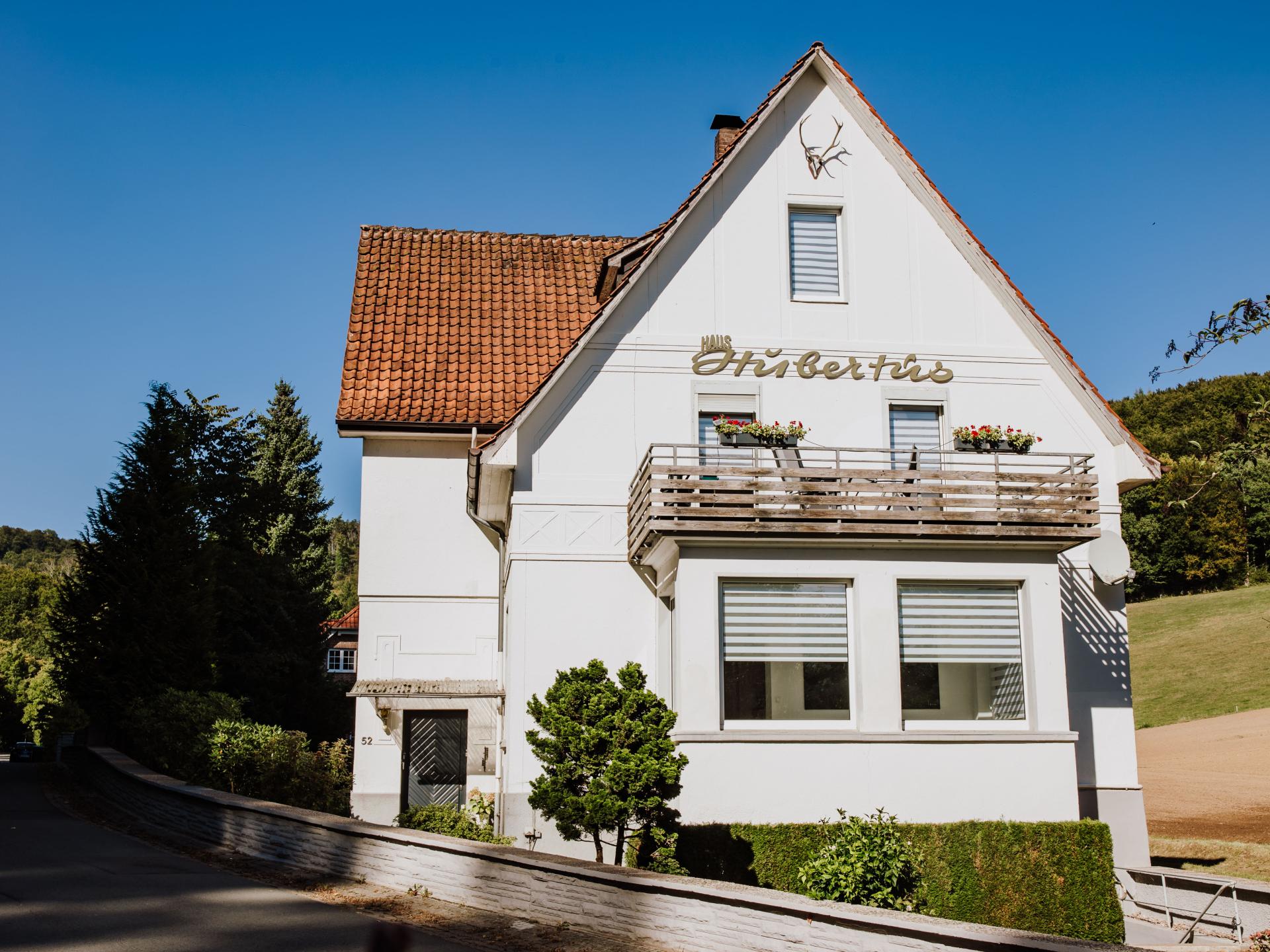 Groot vakantieappartement voor 13 personen met tuin aan de bosrand bij Bad Pyrmont - foto 1