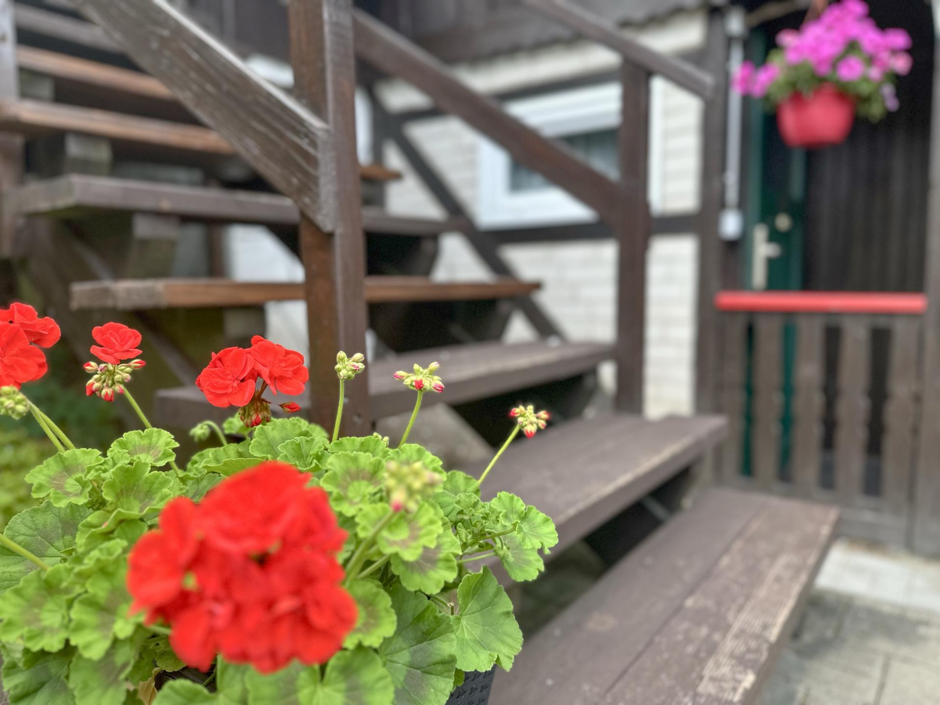 Vrijstaand vakantiehuis in Rübeland met heerlijk terras - foto 22