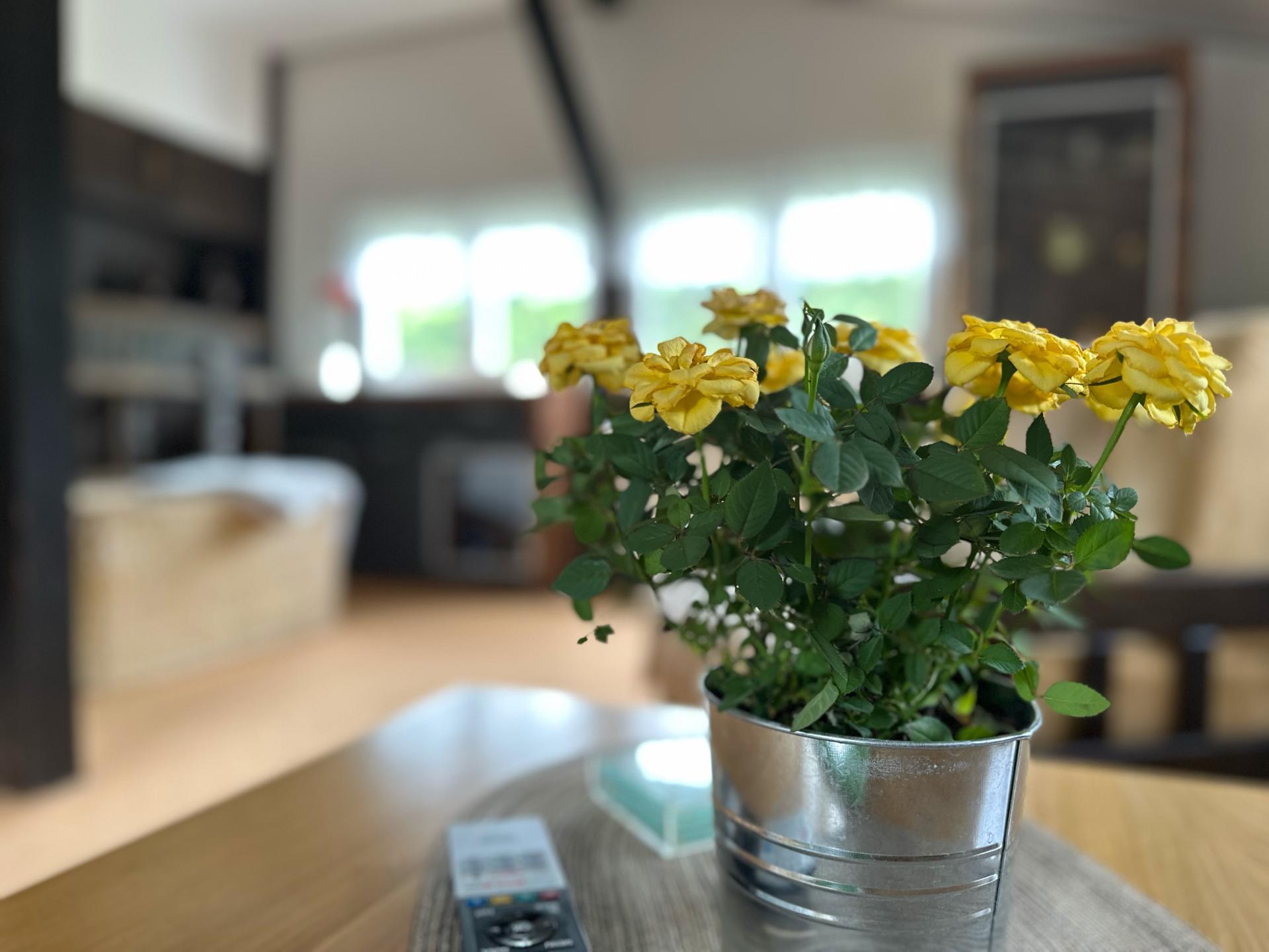 Vrijstaand vakantiehuis in Rübeland met heerlijk terras - foto 9