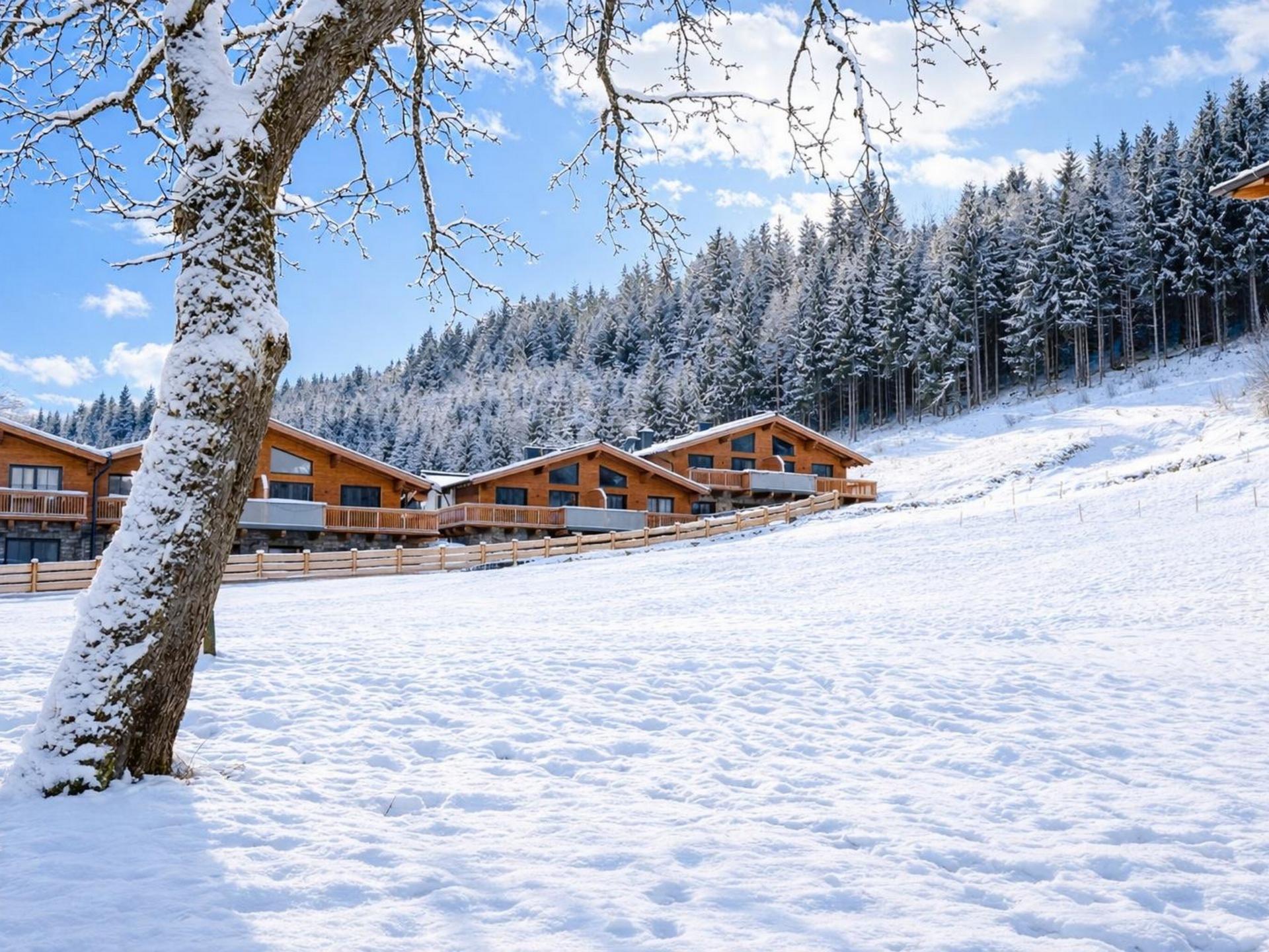 AlpinLodge met privé sauna en uitzicht, 8 minuten van Flachau - foto 55