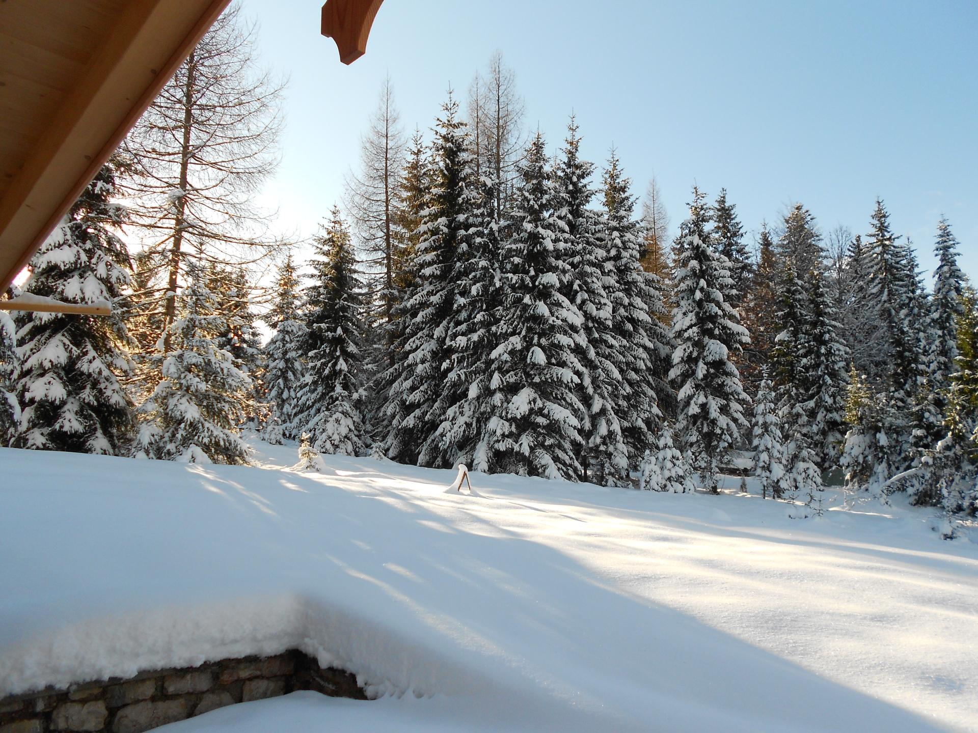Vrijstaande berghut in Thiersee met grote tuin, vlakbij skilift en meer - foto 25