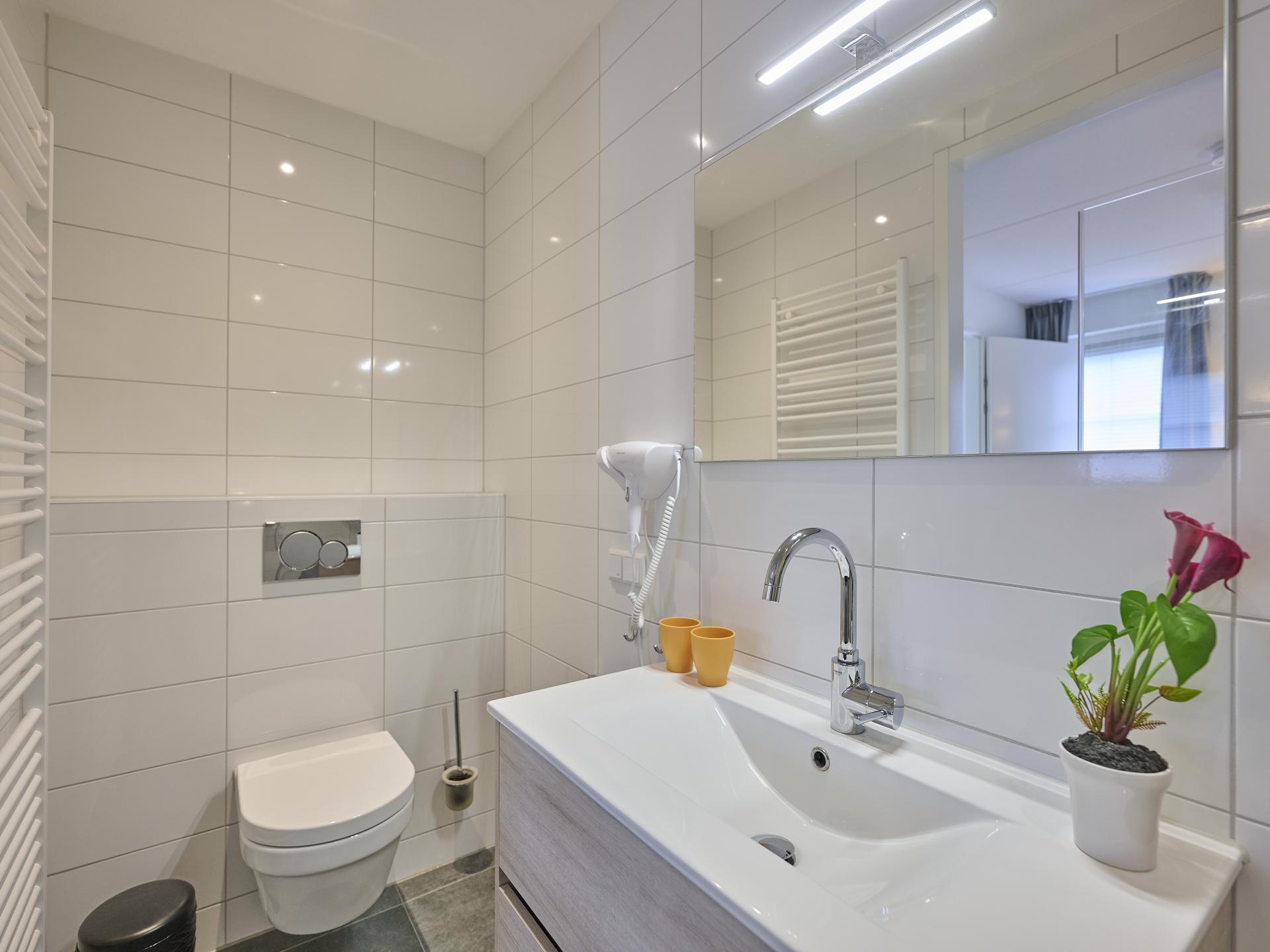 Wellness villa met sauna en tuin op 300m van zee in Colijnsplaat - foto 27