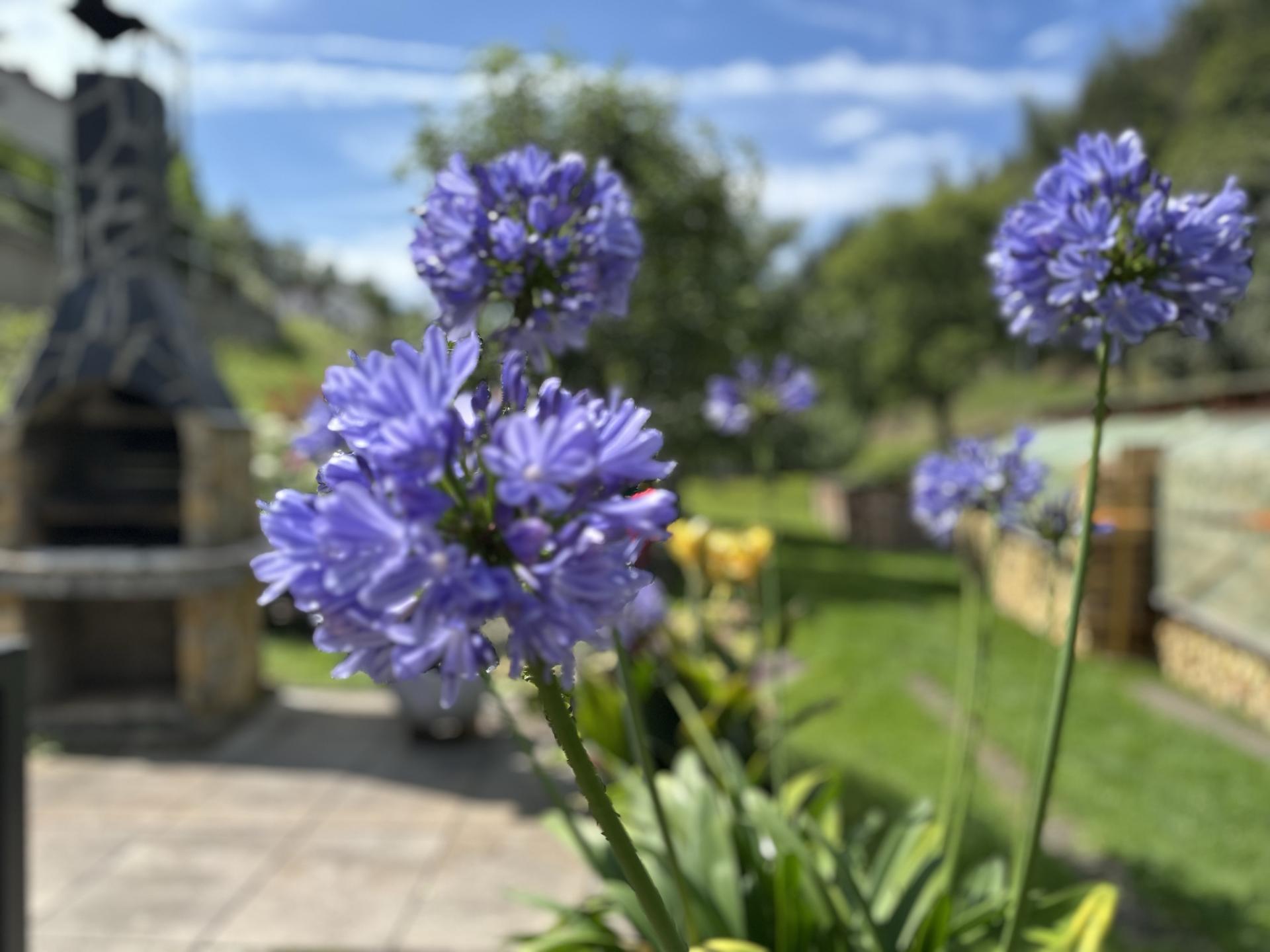 Vrijstaand vakantiehuis met balkon en tuin in het Thüringer Woud - foto 22