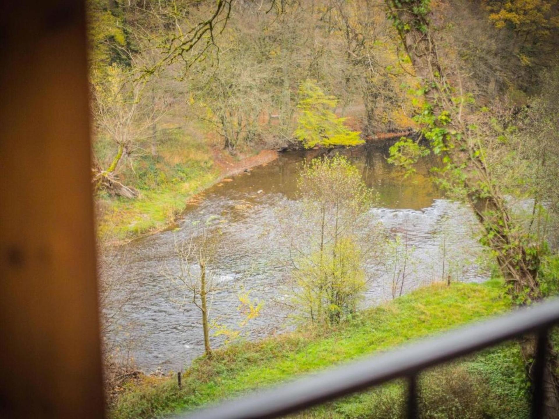 Vrijstaand chalet aan de Ourthe voor 4 personen in Tohogne - foto 6