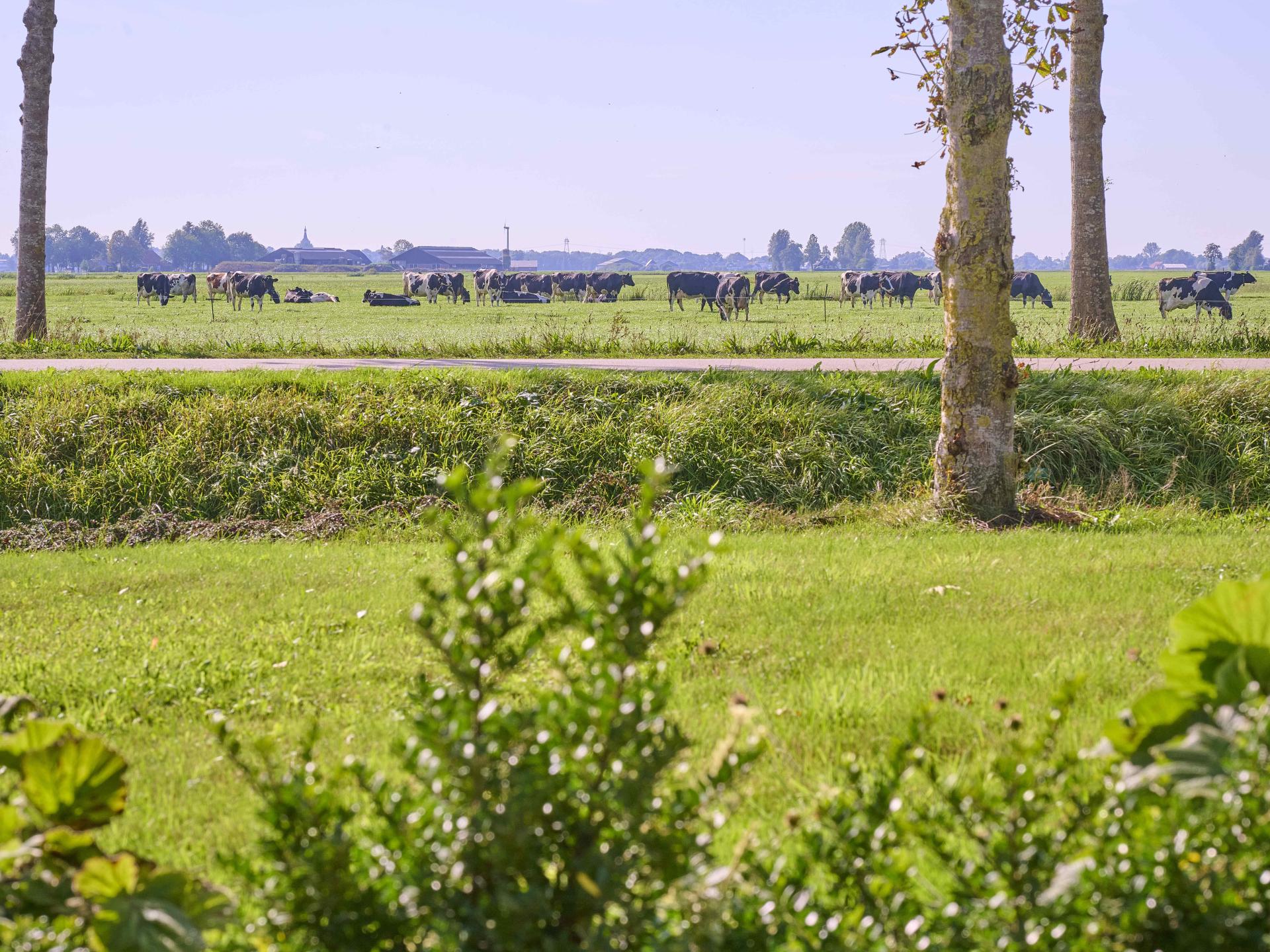 Vrijstaand vakantiehuis op Alpacafarm in Rouveen, Overijssel - foto 39
