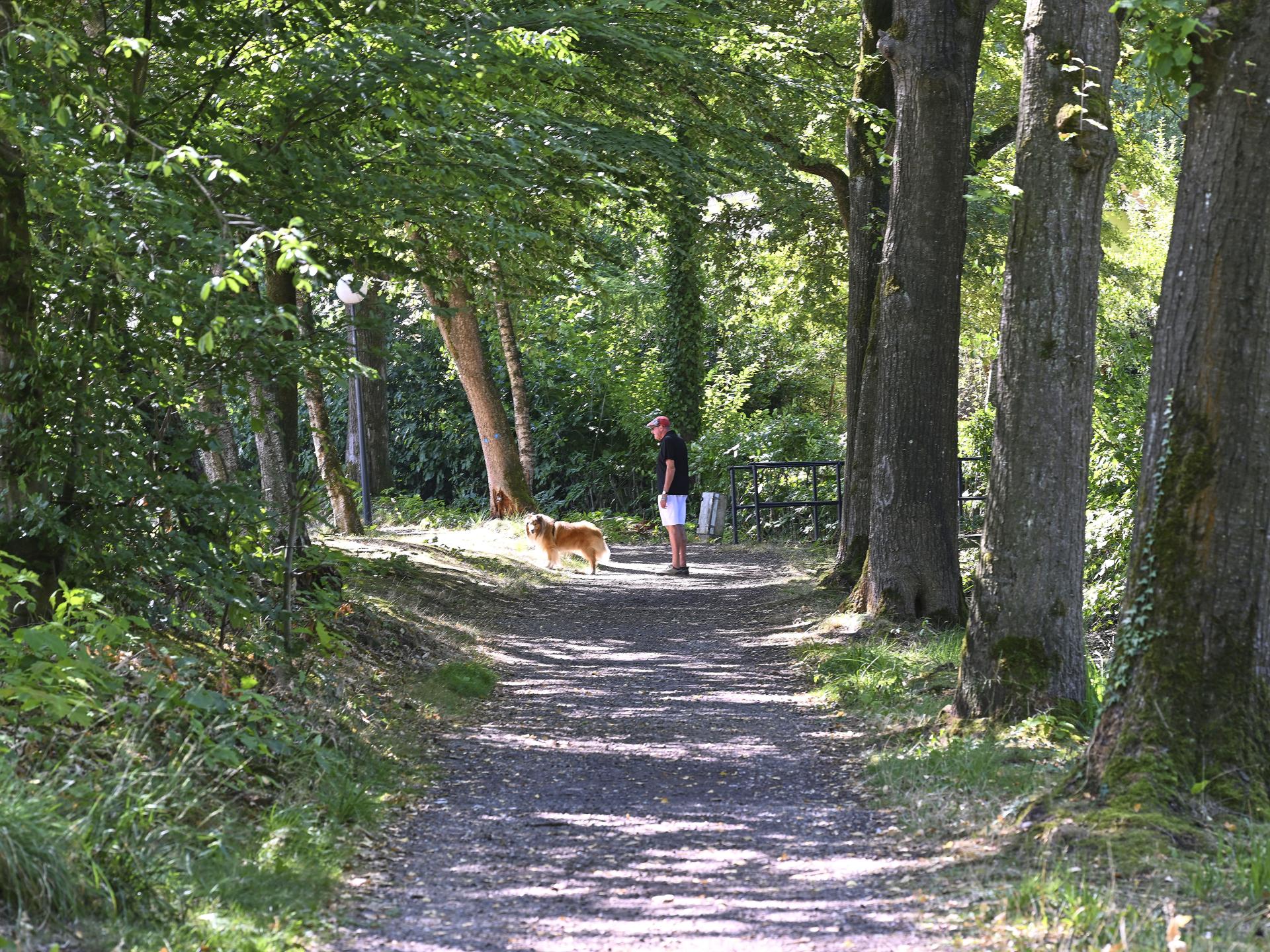 Prachtig huis in de bossen op park aan water - foto 38