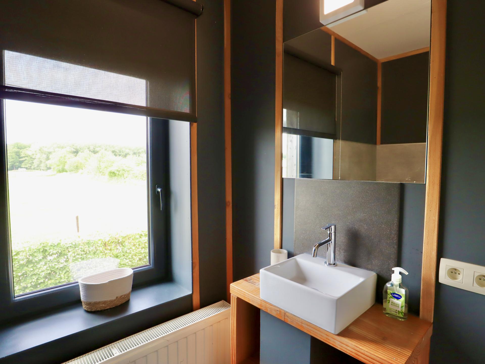 10-persoons vakantiehuis in Gesves met zwembad en sauna - foto 26