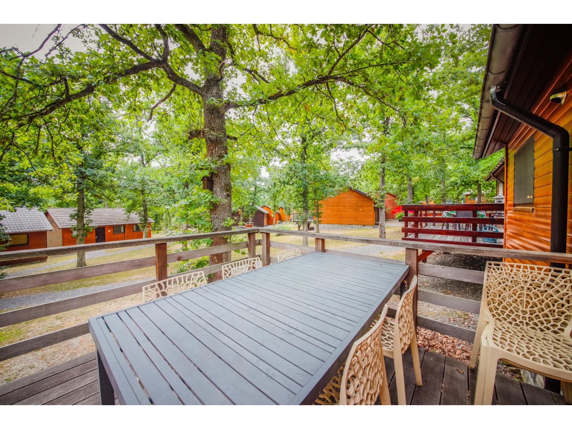 Knus chalet voor 5 in de bossen bij Heure, Ardennen - foto 4