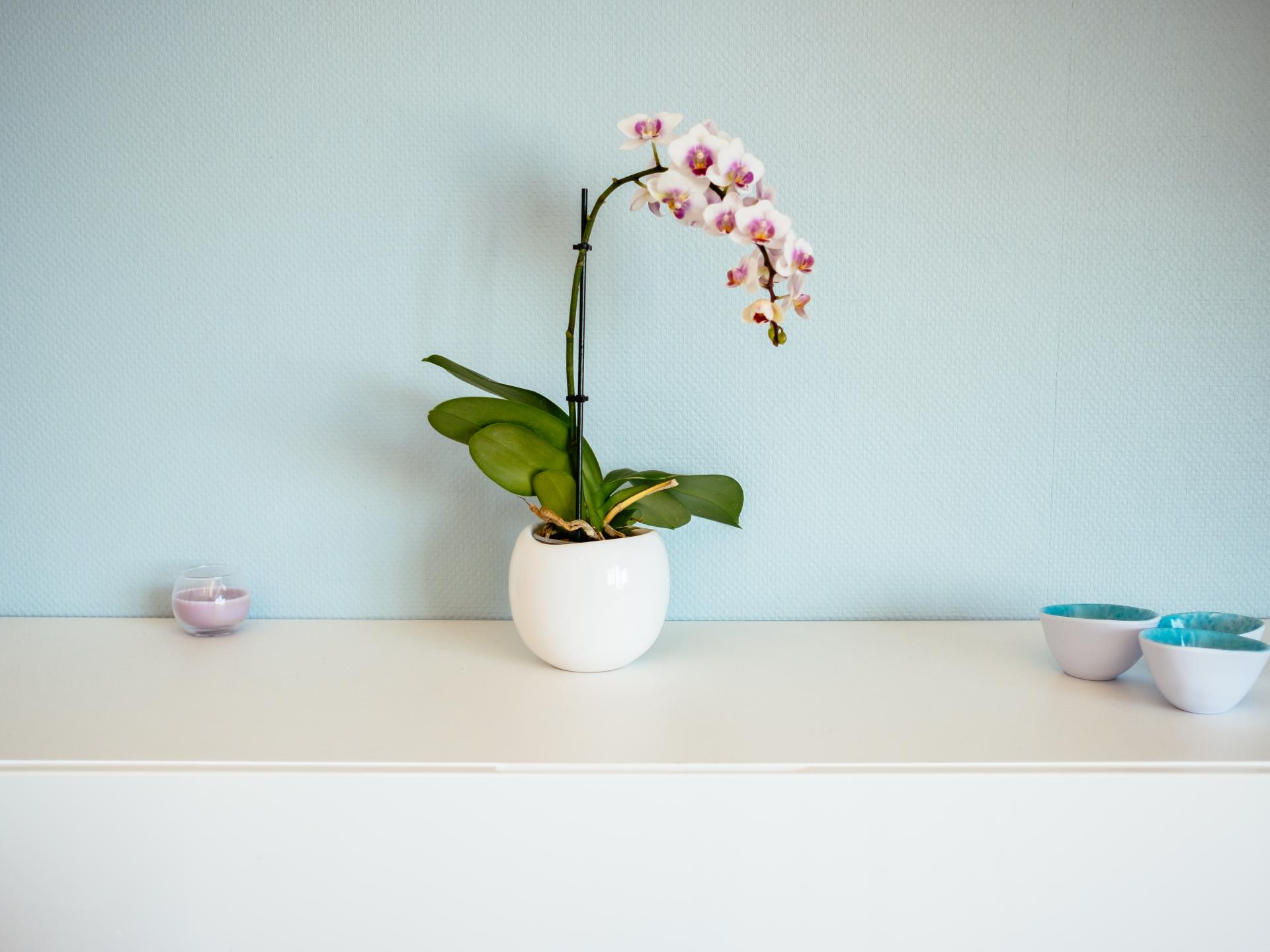 Zeezichtappartement voor 6 personen in centrum Koksijde - foto 7
