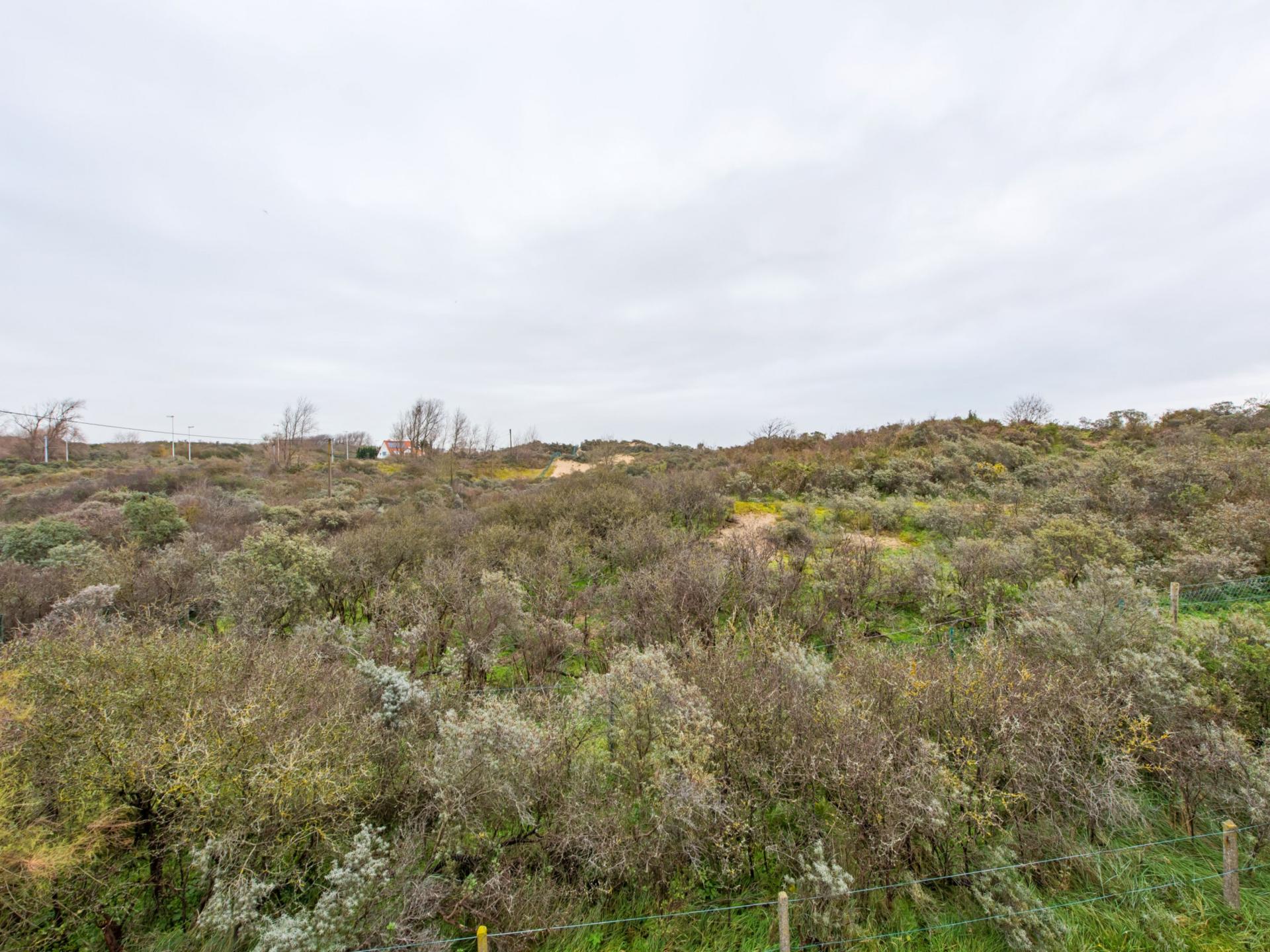 Vrijstaande villa aan de duinen in Koksijde, vlakbij zee en centrum - foto 17
