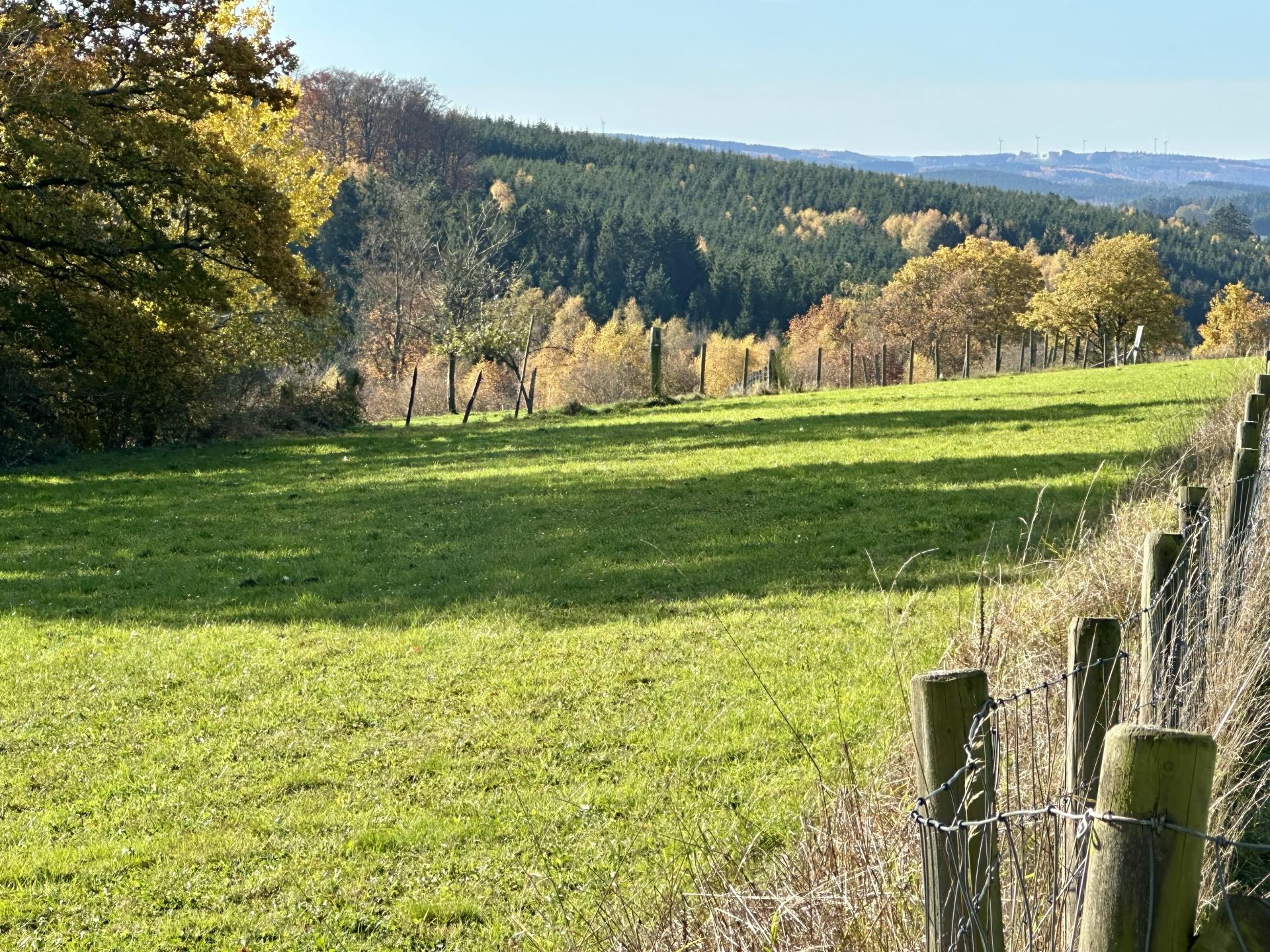 4-persoons vakantiehuis met panoramisch uitzicht in Houffalize - foto 35