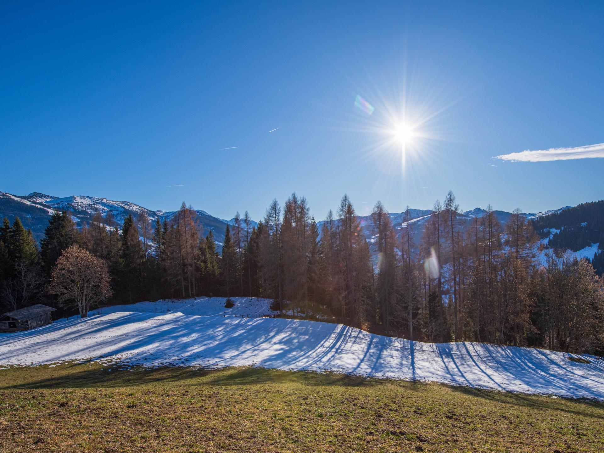 Ruim appartement op de berg bij Wagrain met panoramisch uitzicht - foto 28